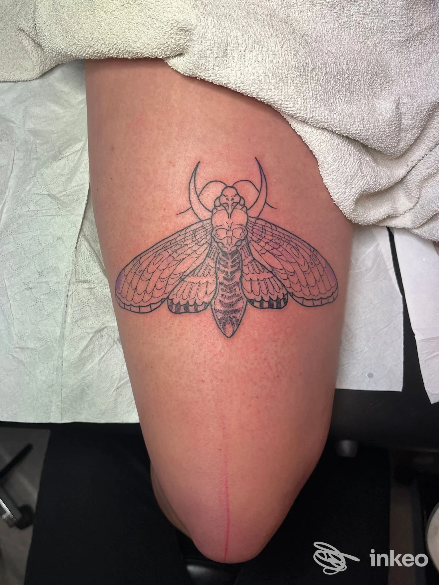 Tatuaggio lineare di falena sulla coscia, scatto in studio Vanilla Tattooer a Santarcangelo di Romagna.