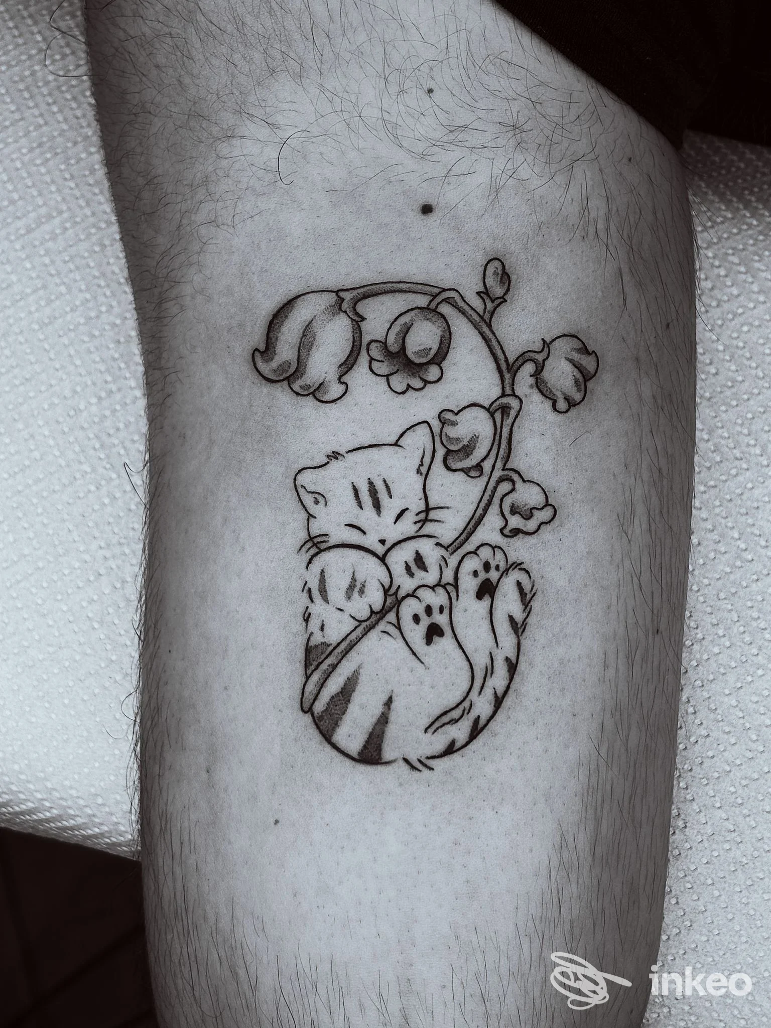 Tatuaggio linework in nero di un gattino con fiori sull'avambraccio, Soul Punk tattoo shop, Correggio.