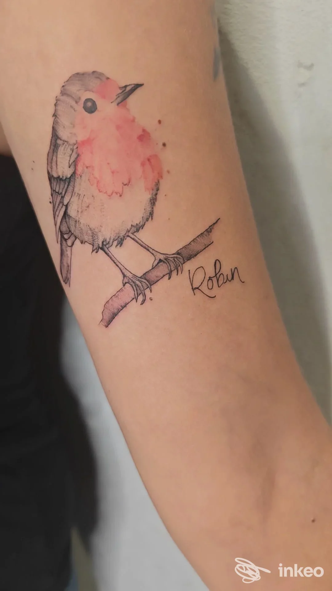 Tatuaggio realistico di un pettirosso con sfumature acquerellate rosa e linee nere su avambraccio, con la parola 'Robin', eseguito al Malusi Tattoo Atelier a Cervia.