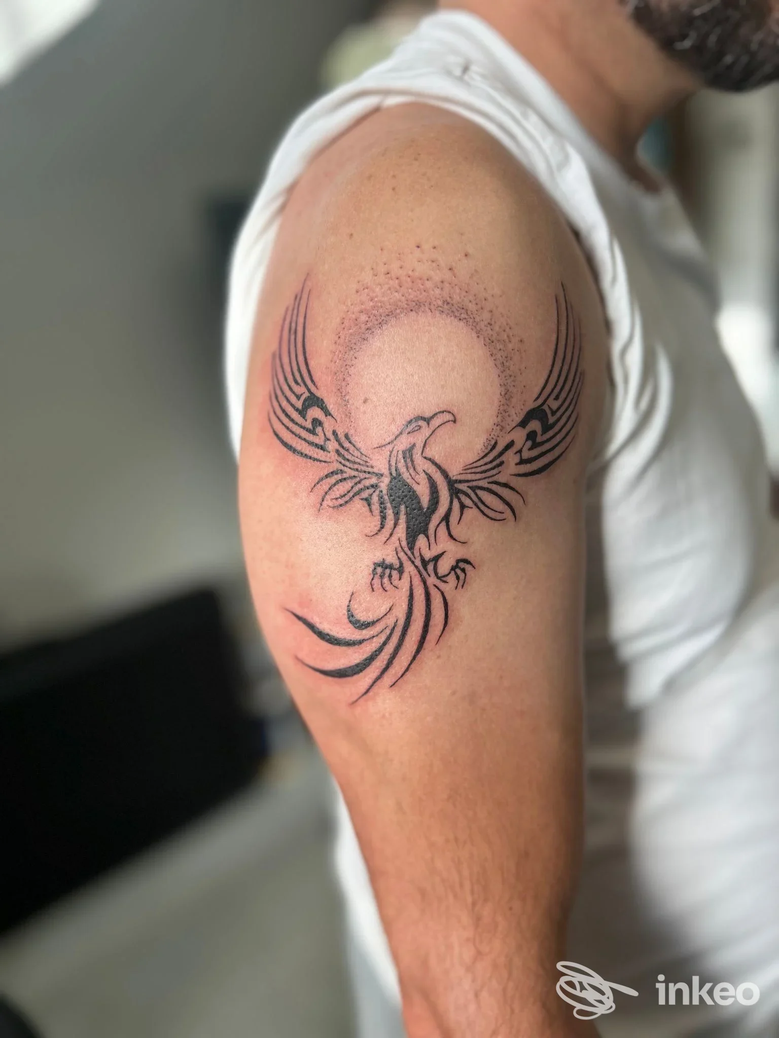 Tatuaggio a fenice sul deltoide sinistro mostrato in primo piano, foto fornita da Natattoo Studio, Forlì.
