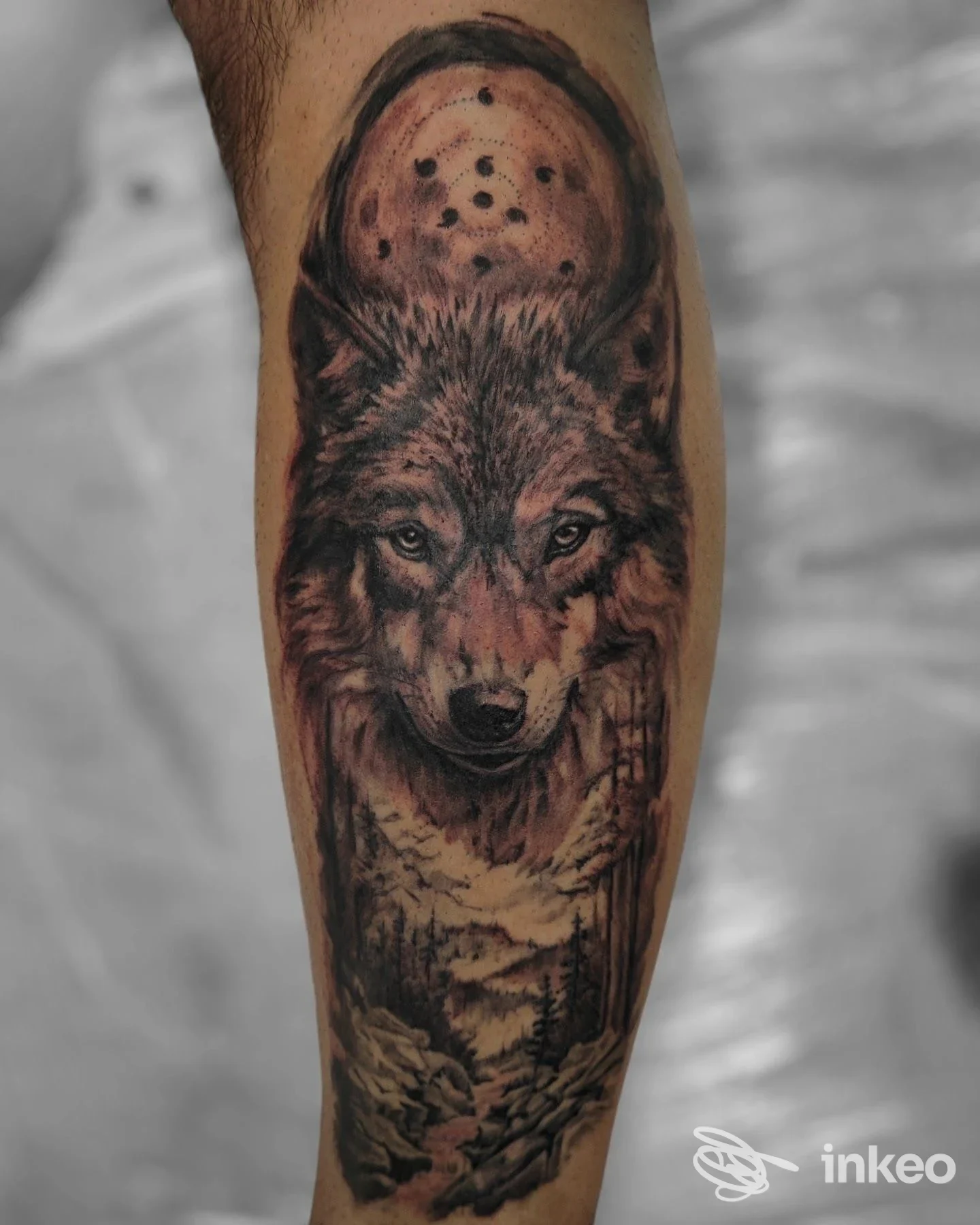 Grande tatuaggio realistico di un lupo su avambraccio, foto per portfolio Infamilia Tattoo, Sassuolo.
