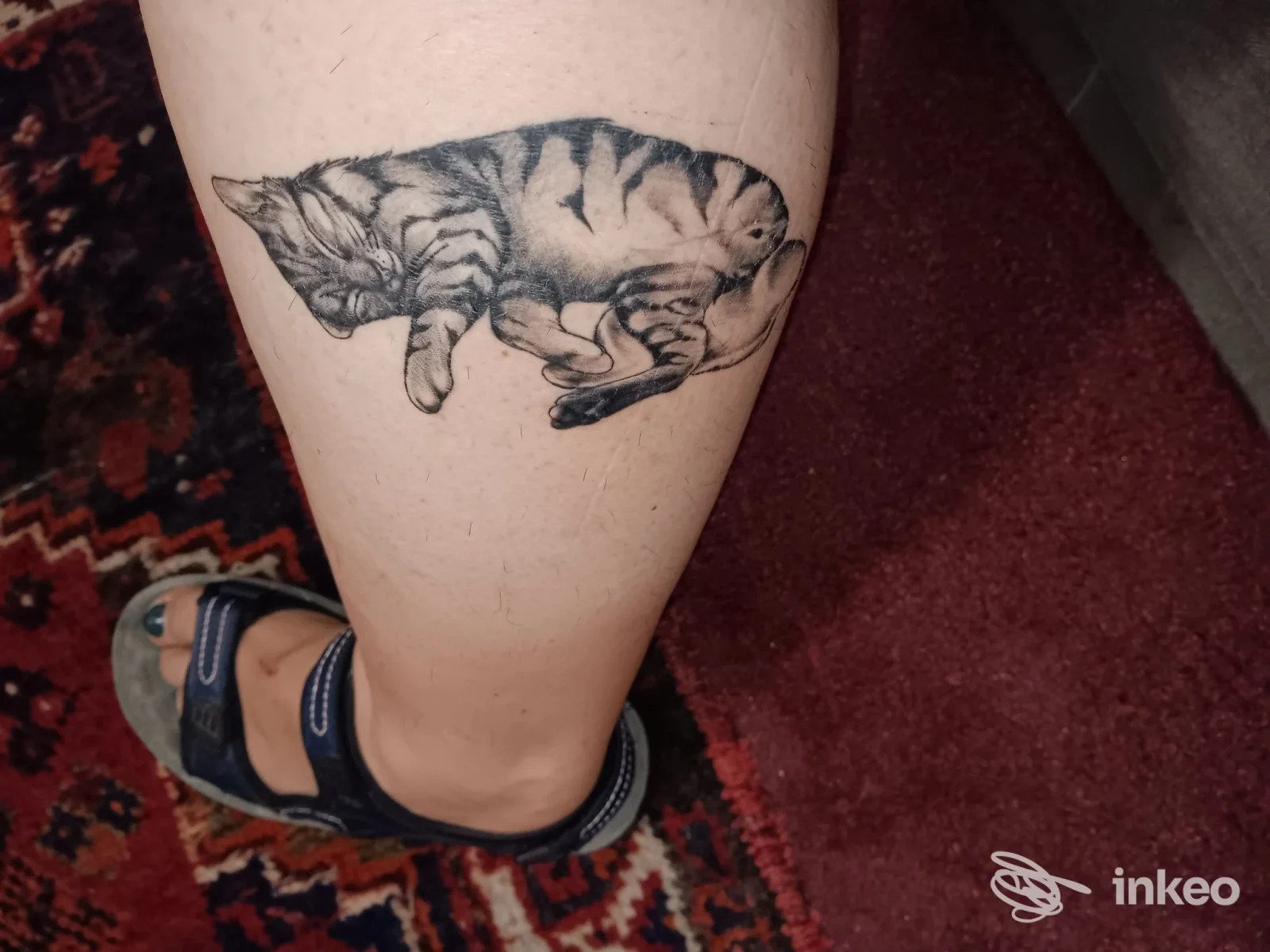 Tatuaggio di un gatto addormentato sul polpaccio, fotografato da Horimono Tattoo e Piercing a Finale Emilia.