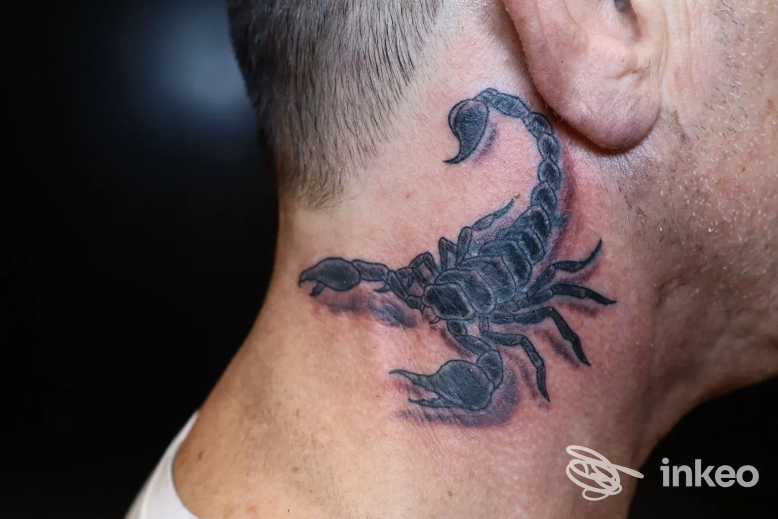 Tatuaggio a scorpione nero sul collo, fotografia di dettaglio per Iron ink tattoo a Sassuolo.