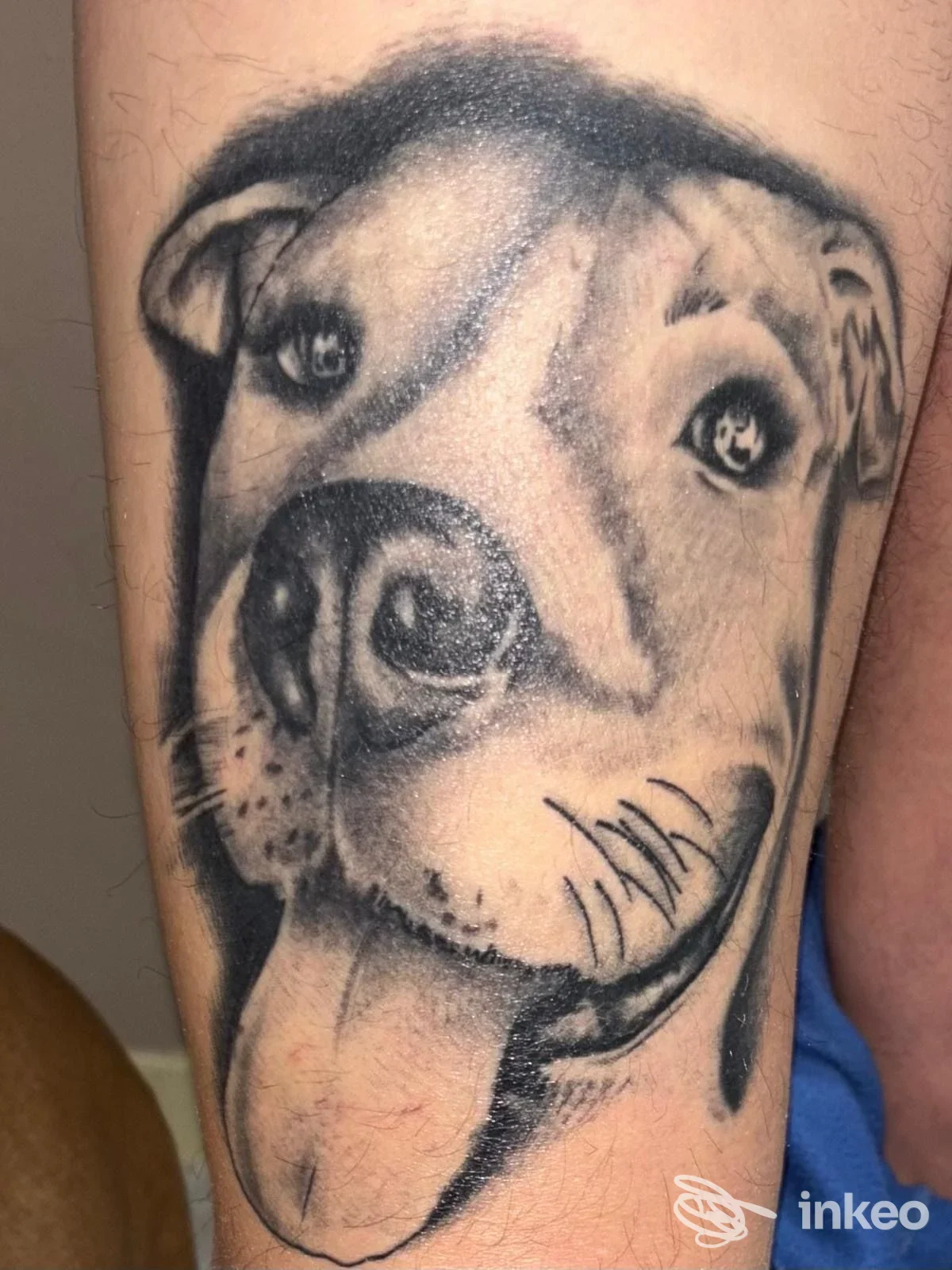 Ritratto tatuato in bianco e nero di un cane sul braccio, lavoro di Daniel Dandi 17 Tattoo a Roveleto.