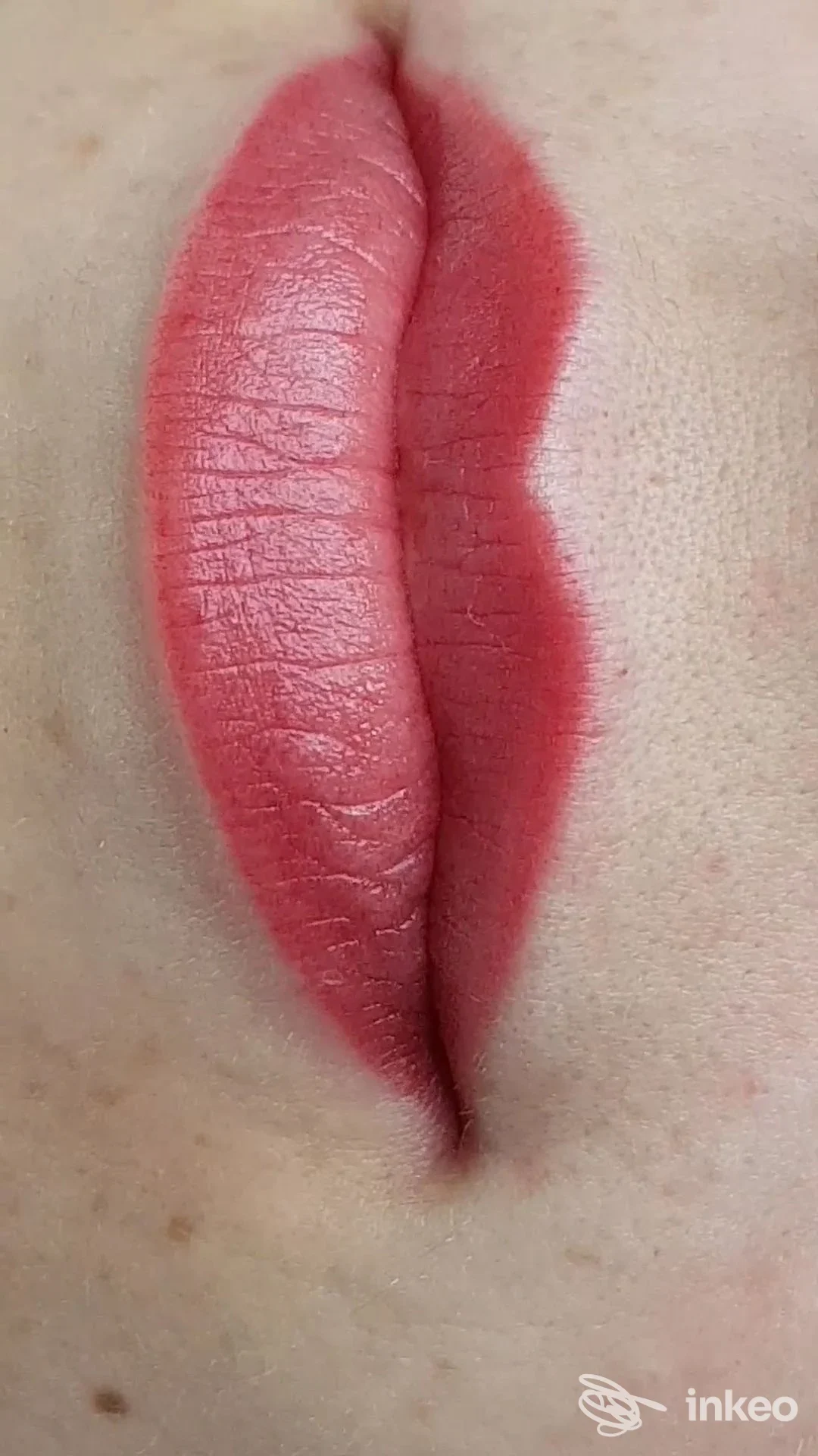 Primo piano di trucco permanente labbra realizzato da Denisa Dama a Parma, risultato definito e sfumato.