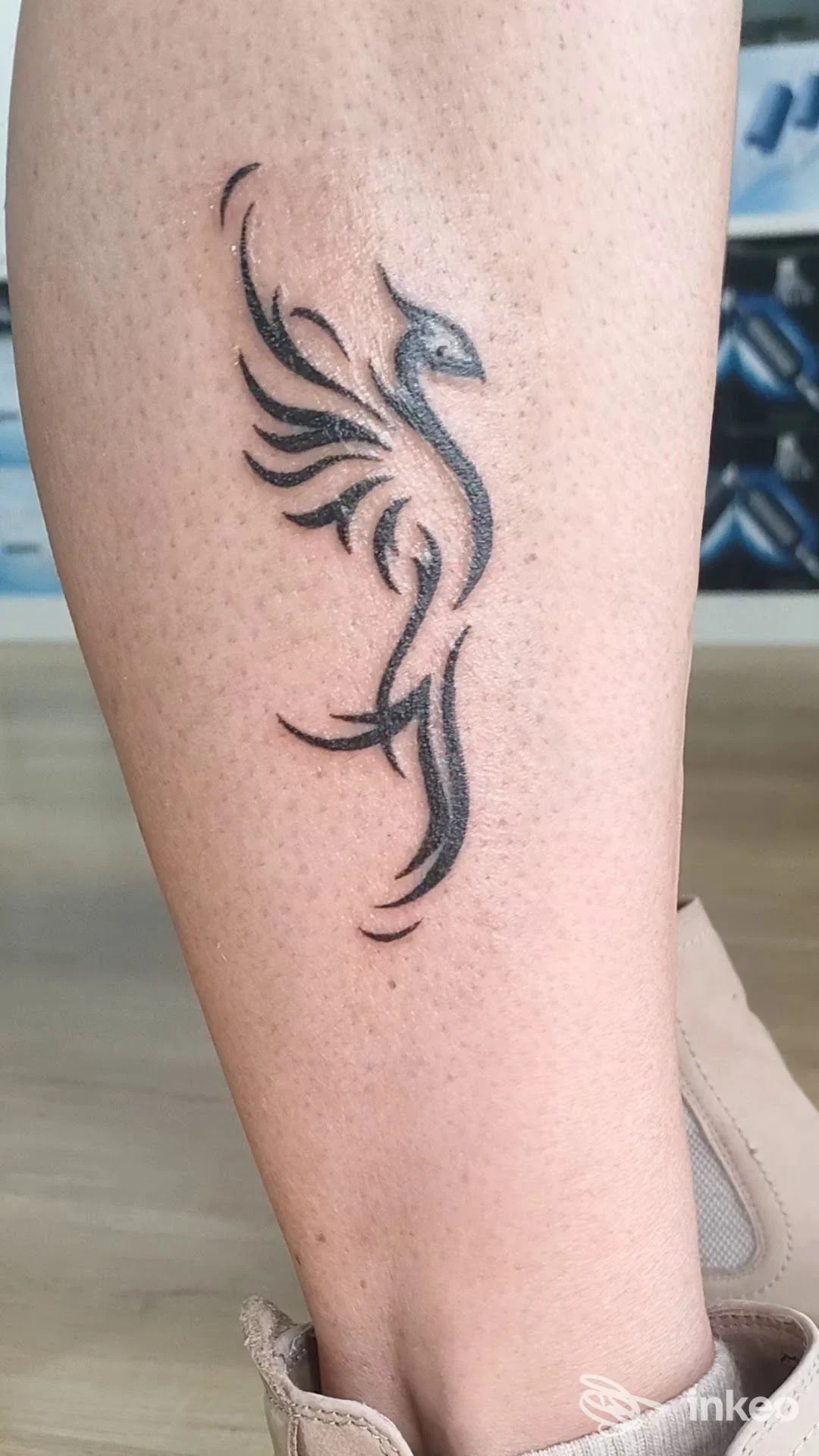 Tatuaggio nero stilizzato su polpaccio, foto scattata in studio Stefano Palladino a Carpi.