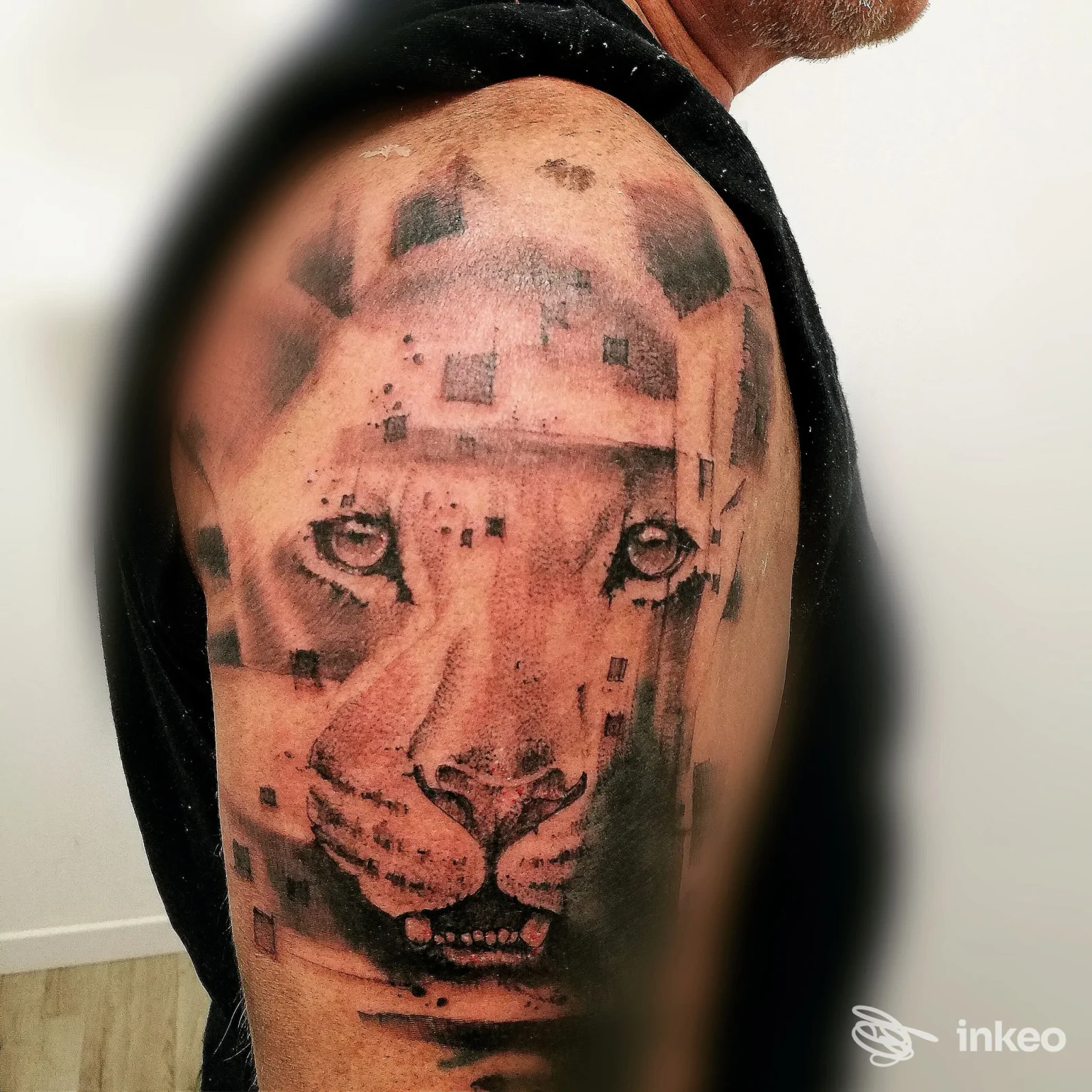 Tatuaggio realistico di una testa di leone sulla spalla e bicipite, foto dello studio Alex Tattoo a Cento.