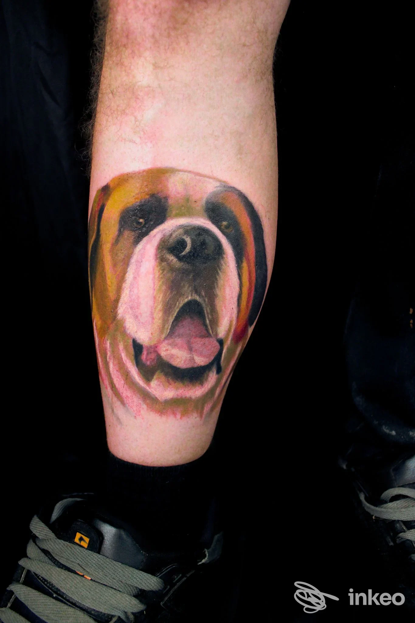 Tatuaggio realistico del muso di un cane sul polpaccio, foto fornita da Black Sin Tattoo Studio, Cesena.