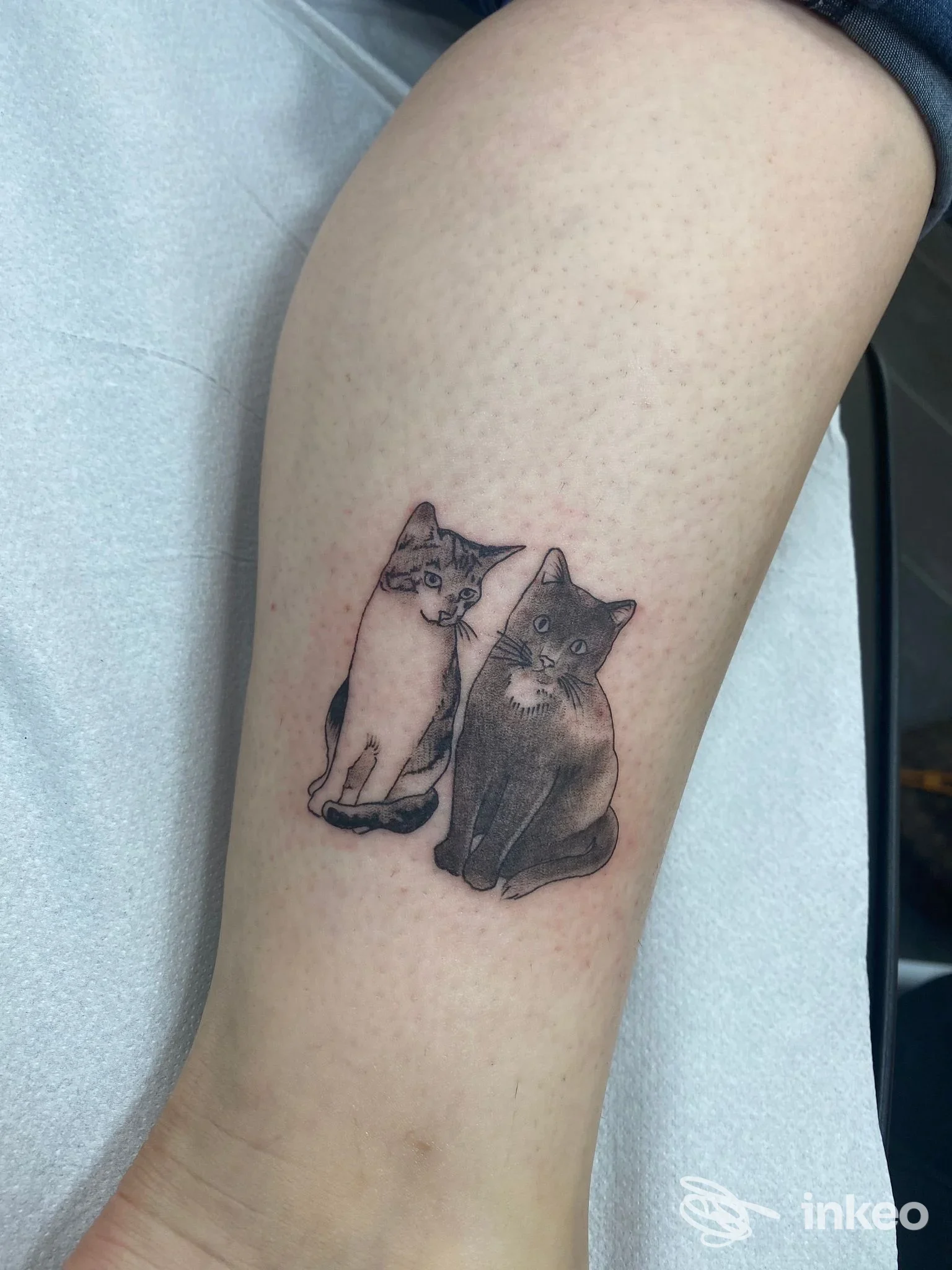 Tatuaggio di due gatti in bianco e nero sull'avambraccio, realizzato da Cuore Nero Tattoo, Fornace.