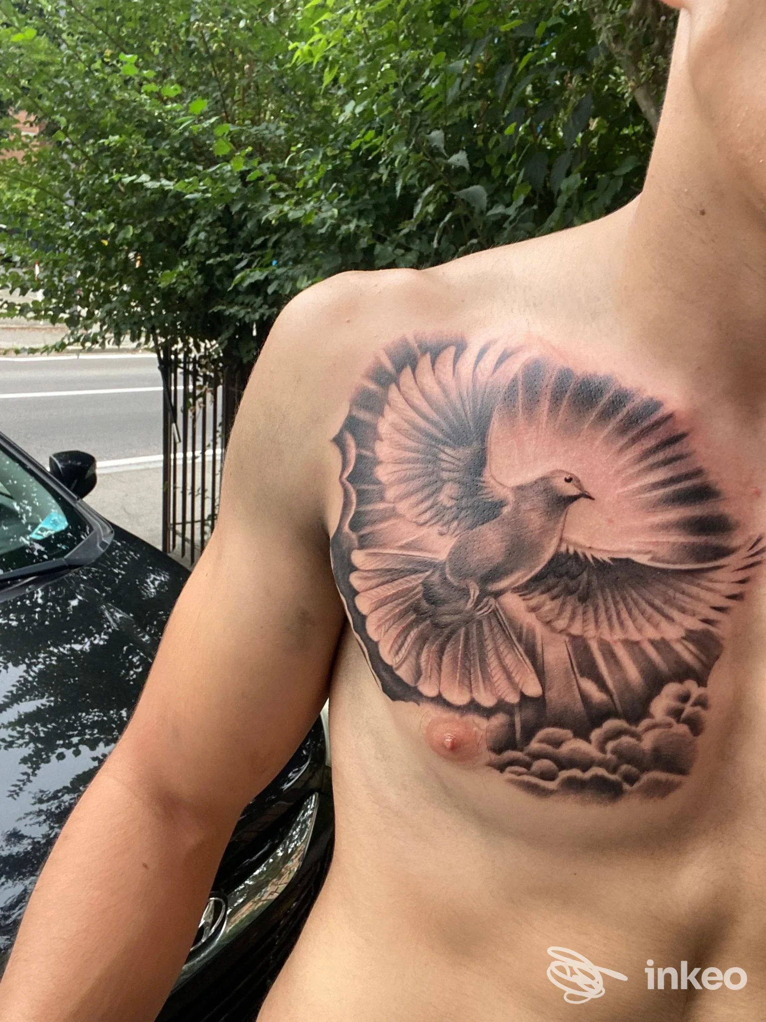 Tatuaggio sul petto: grande colomba black-and-grey eseguita da Sviringi Tattoo&Piercing a Reggio nell'Emilia, fotografata sul torso del cliente.