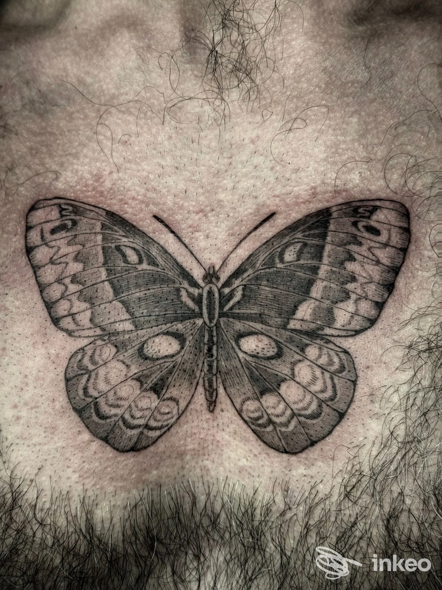 Tattoo raffigurante una farfalla nera con motivi sulle ali, impressa sulla pelle del torace, contorni ben definiti e peli del torace visibili.