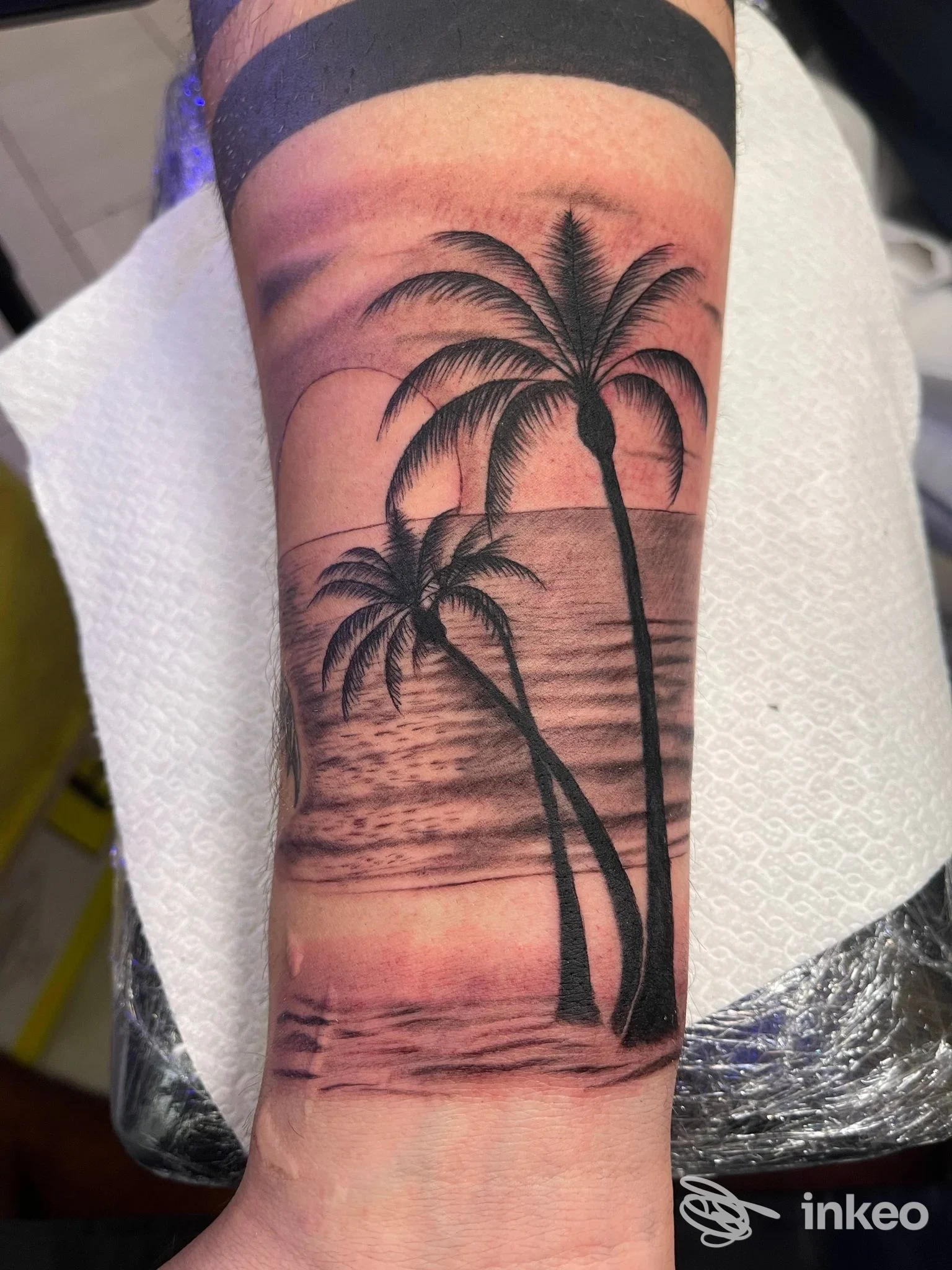 Tatuaggio di palme e mare sull'avambraccio, Latin Ink tattoo e piercing, Modena.