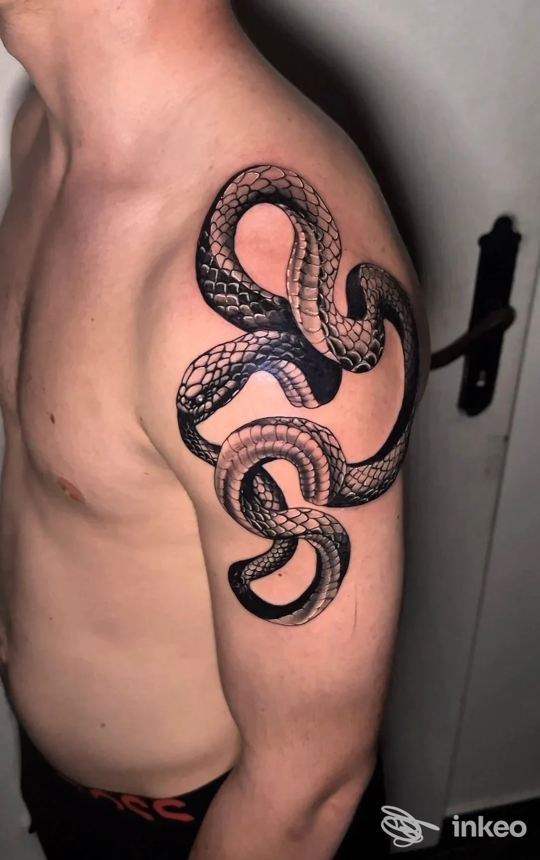 Tatuaggio serpente nero avvolto su spalla e braccio superiore, foto fornita da 99 INK Tattoo Studio, Case Trebbio.