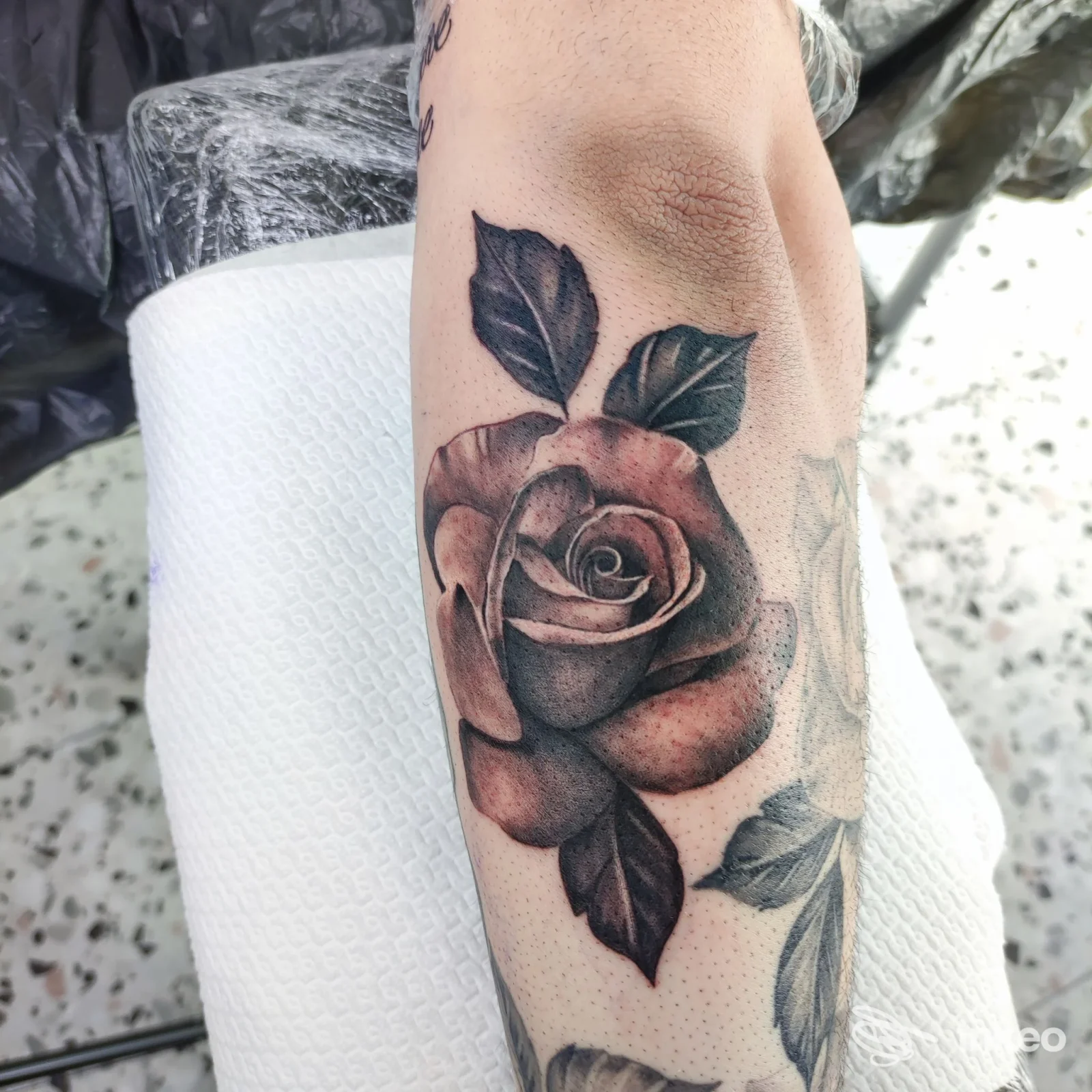 Tatuaggio realistico di una rosa sull'avambraccio, Tattoo Atelier Sonia Savi, Sala Baganza