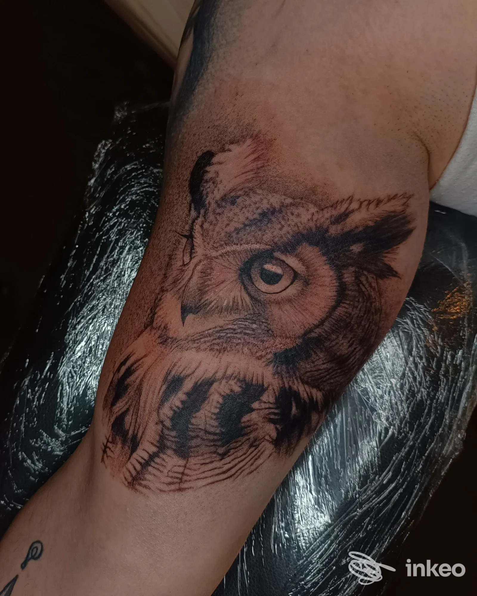 Tatuaggio a tema gufo sul braccio, foto fornita da Sol Invictus tattoo&piercing a Tolmezzo.