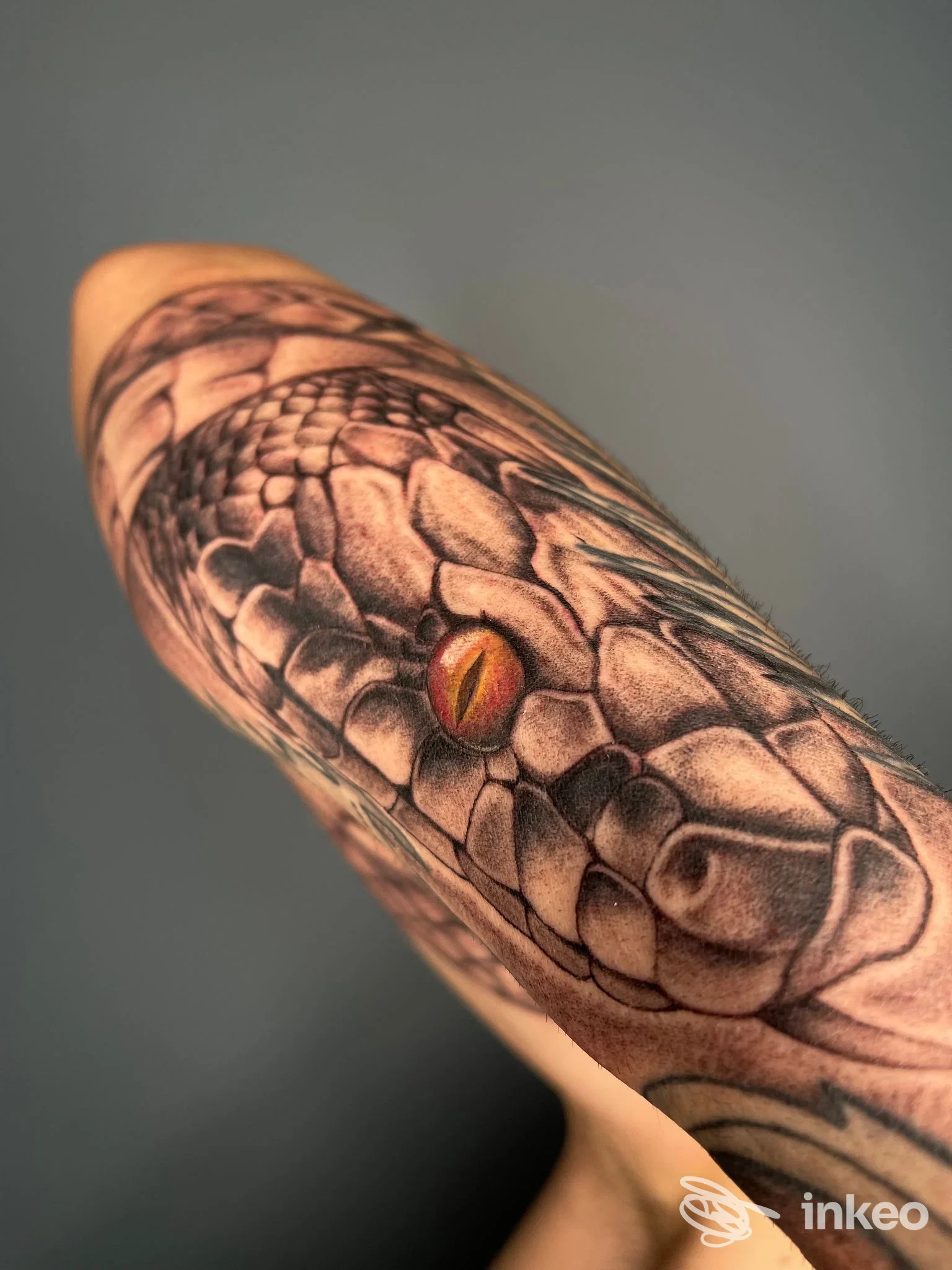 Primo piano dell'avambraccio con un ampio tatuaggio a tema serpente, scuro e dettagliato — Trust The Line, Codroipo.