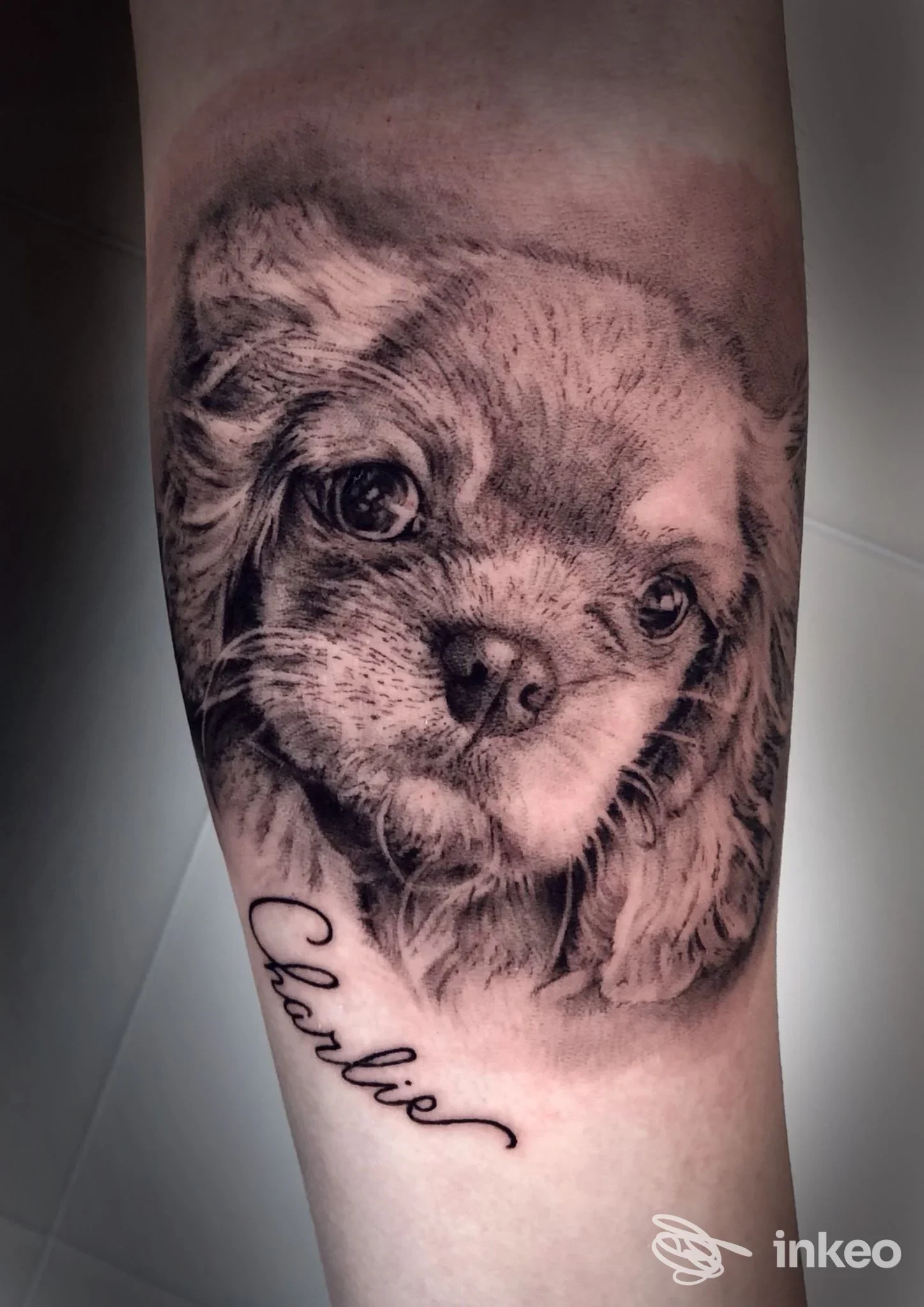 Tattoo realistico in bianco e nero raffigurante la testa di un cane sull'avambraccio sinistro, con dettagli di pelo e ombreggiature.