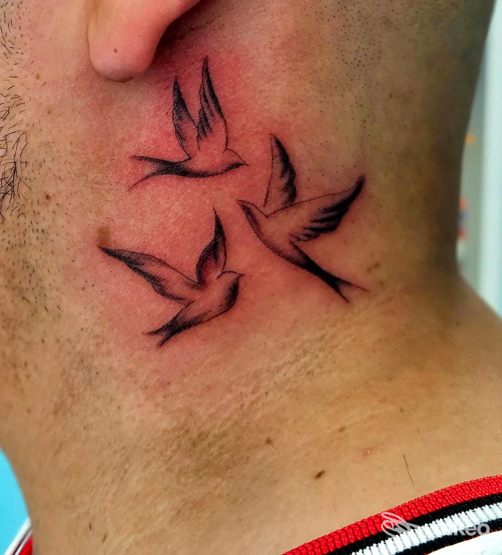 Tatuaggio di tre rondini in nero sul lato del collo, scatto fornito da Essety Piercink Studio, Lignano Sabbiadoro.