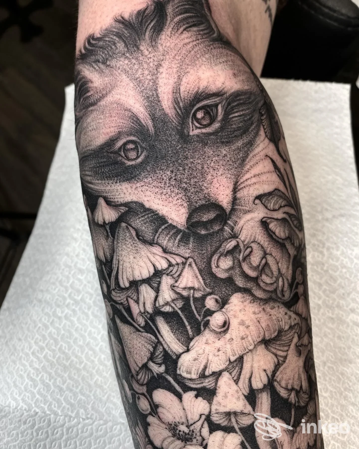 Tatuaggio in bianco e nero sul avambraccio con volto di volpe e funghi, foto fornita da Domino Tattooing, Sacile.