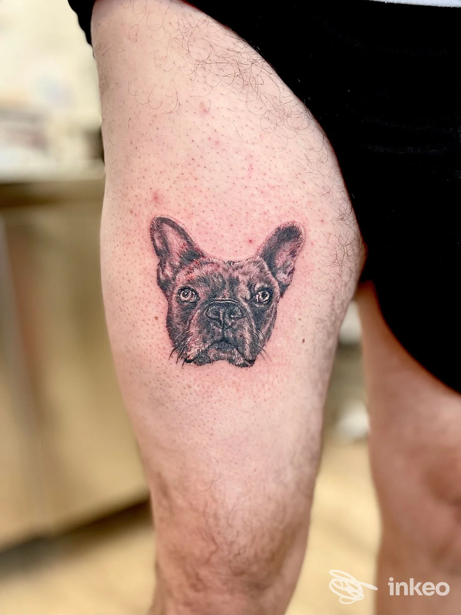 Ritratto di testa di cane tatuato sulla coscia, lavoro pubblicato da Lagoon Ink a Marano Lagunare.