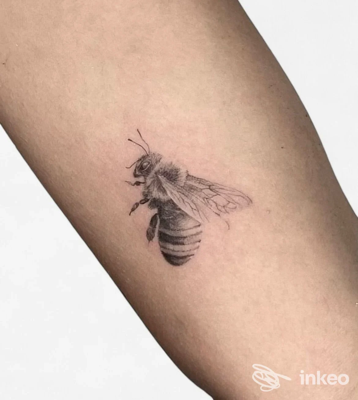 Tatuaggio di ape in nero e grigio sul lato interno dell'avambraccio, foto fornita da Tattoo Supreme Trieste, Trieste.