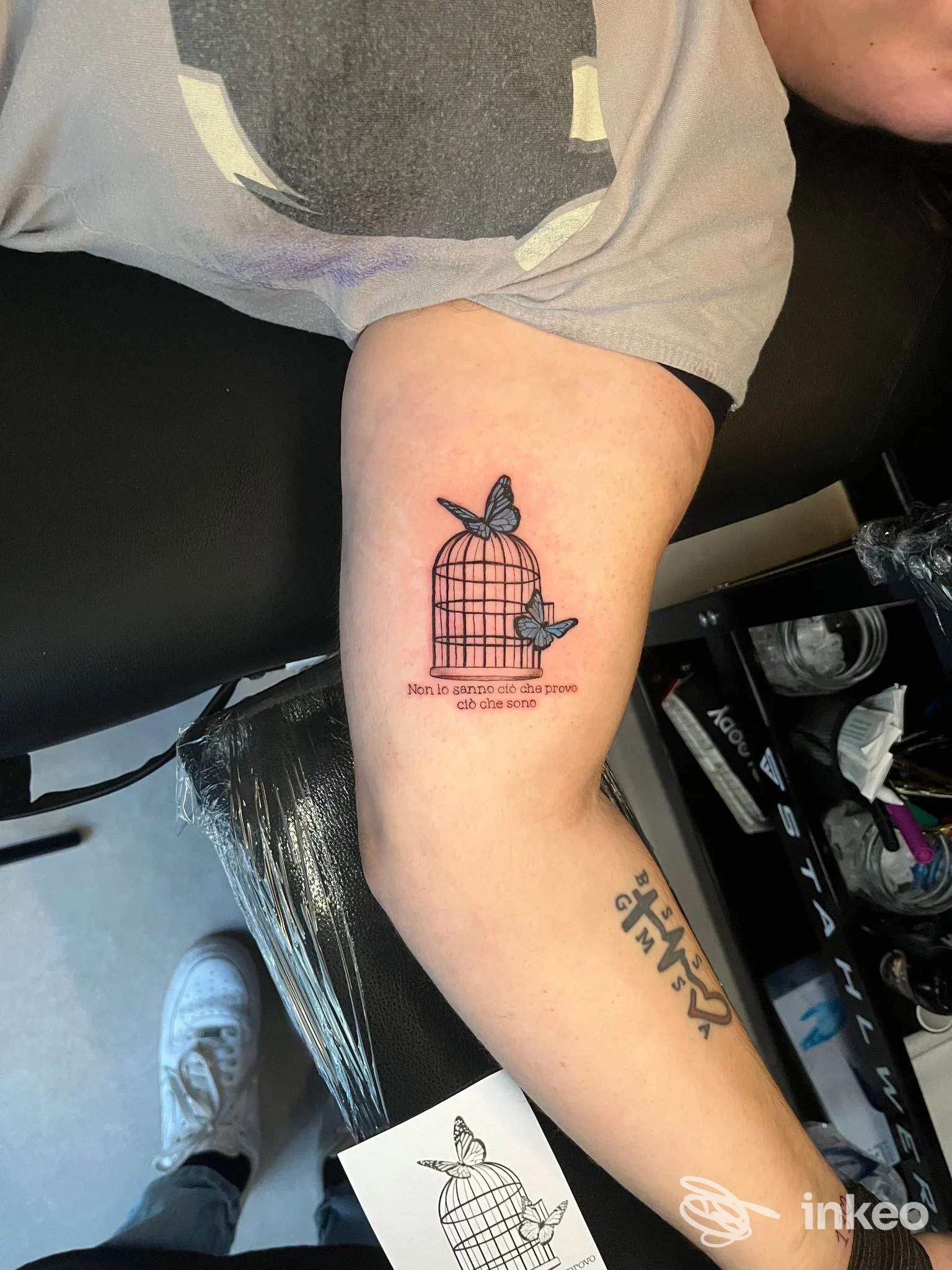 Tatuaggio gabbia con farfalla sull'avambraccio interno, Tattoo Supreme Trieste, Trieste.