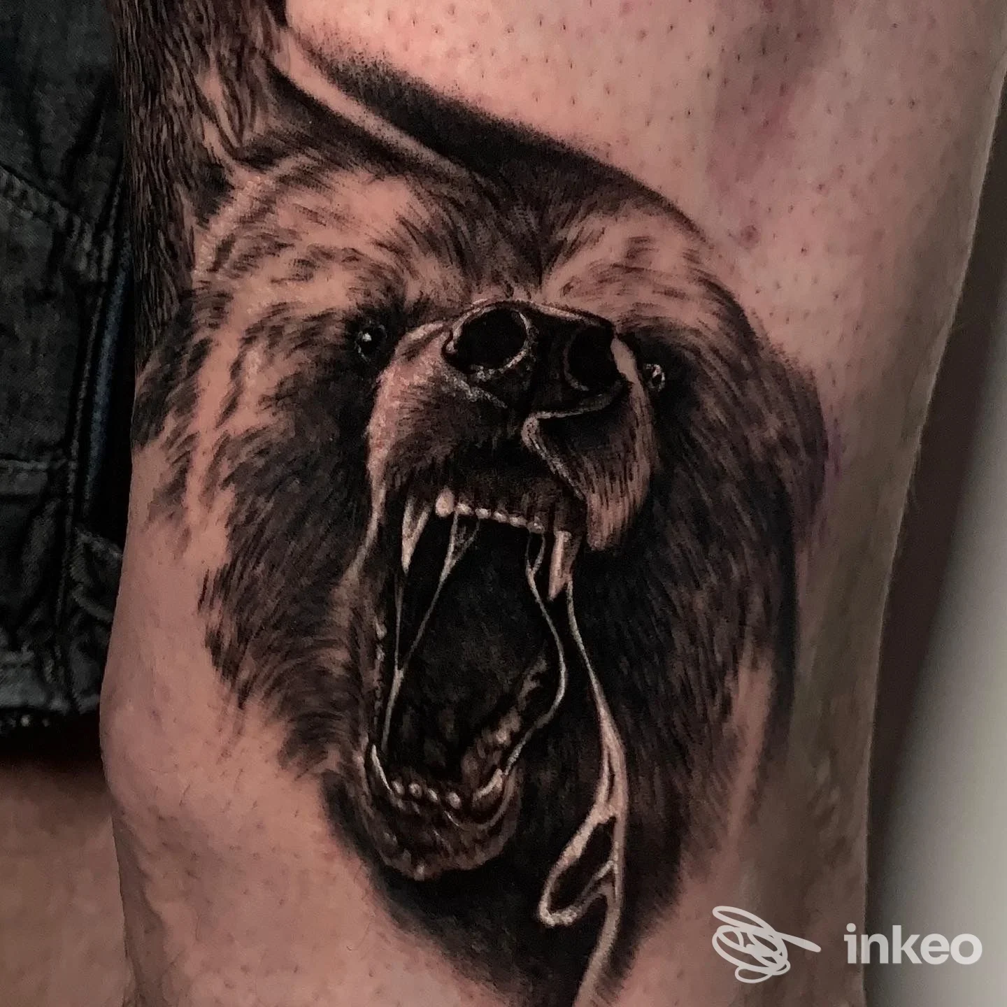 Tatuaggio realistico di una testa d'orso ruggente sulla coscia, foto inviata da Upbeat Tattoo studio, Sacile.