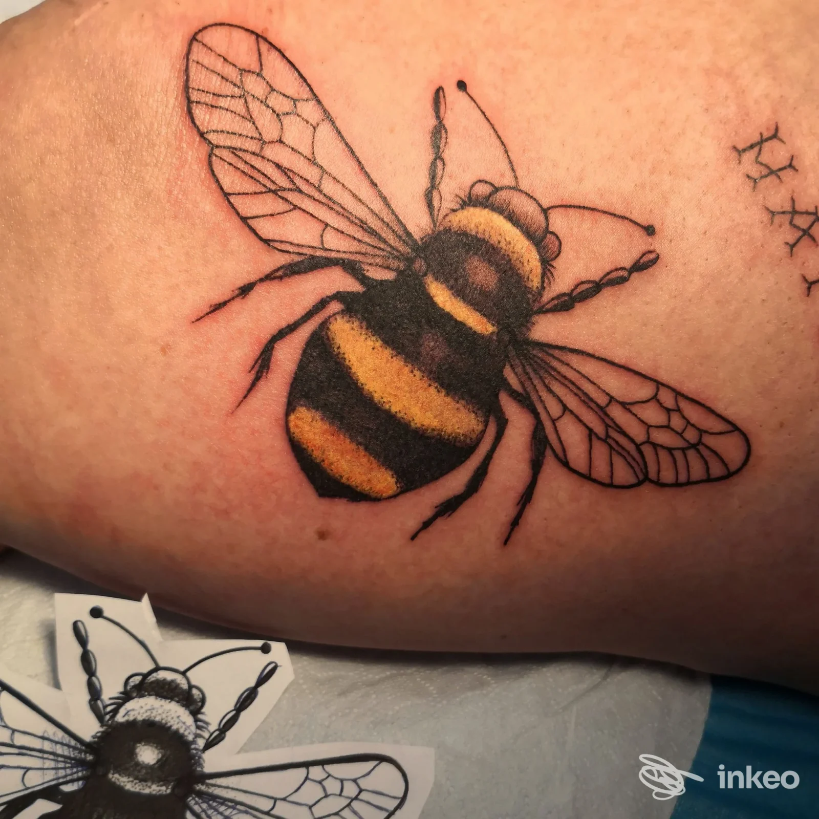 Tatuaggio a forma d'ape con strisce gialle e nere sul fianco, foto fornita da Anjesh Tattoo a Gradisca d'Isonzo.