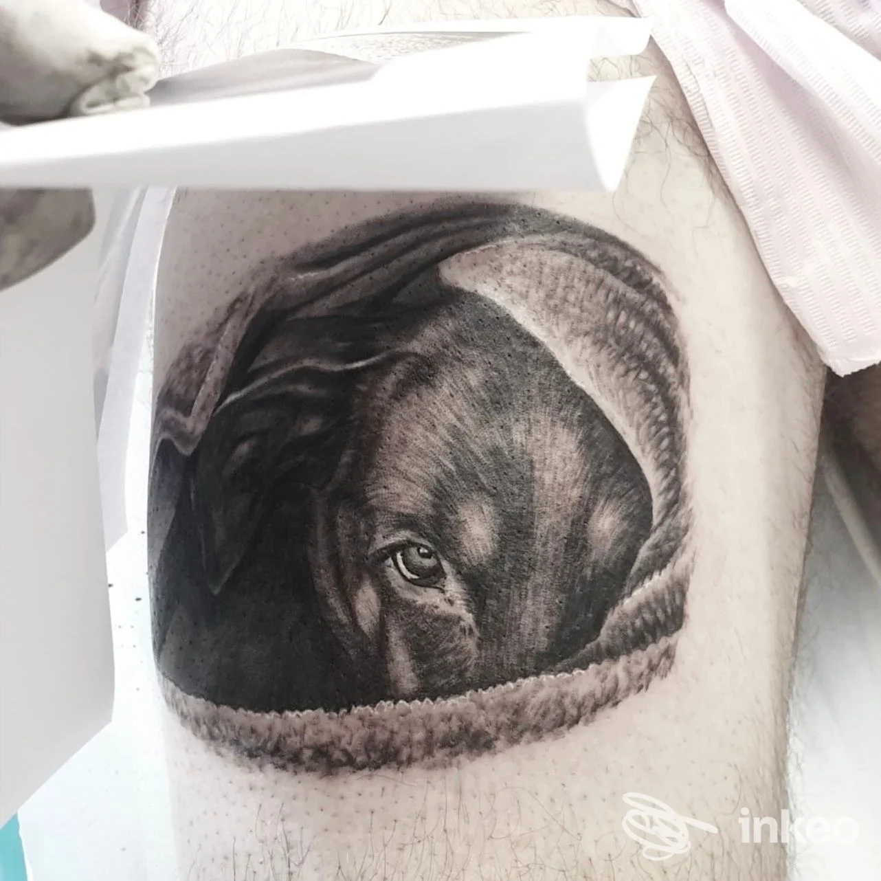 Tatuaggio realistico in bianco e nero con ritratto di cane sulla coscia, Pinkpanther Tattoo, Castello d'Aviano.