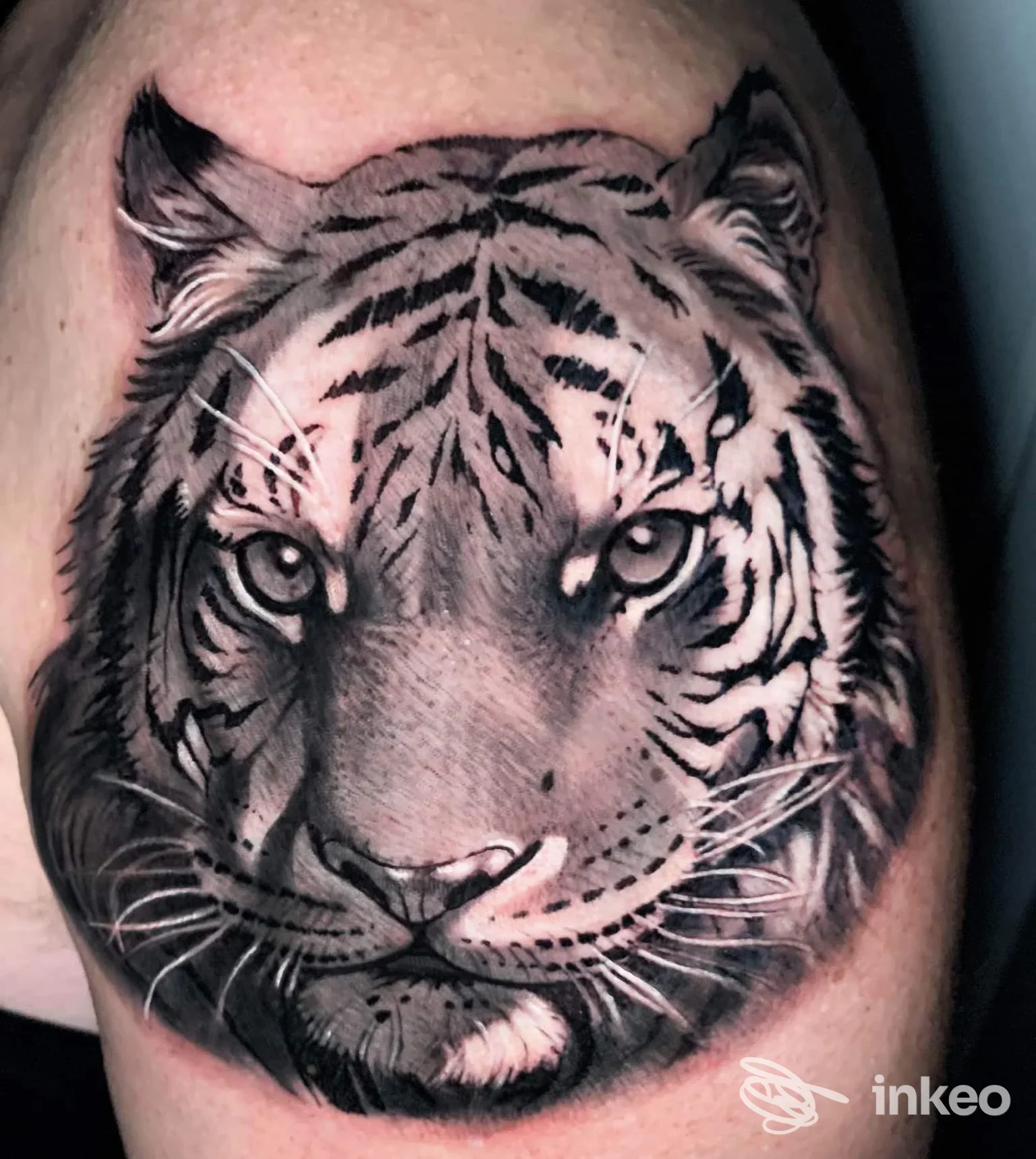 Tatuaggio realistico in bianco e nero di una testa di tigre sul braccio/spalla, scattato per Body Shop Tattoo Studio a Monfalcone.