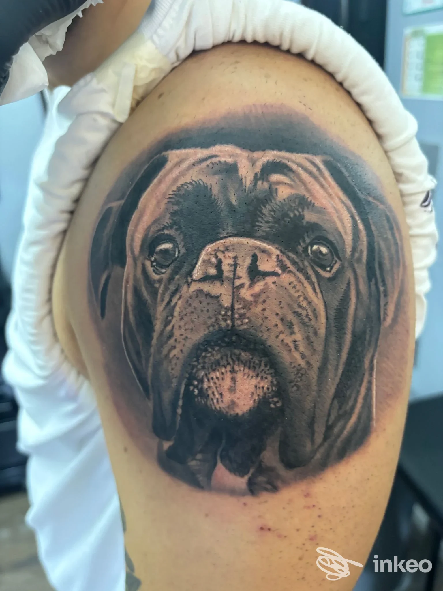 Tatuaggio realistico di un muso di cane sull27alto braccio, Body Shop Tattoo Studio, Monfalcone.