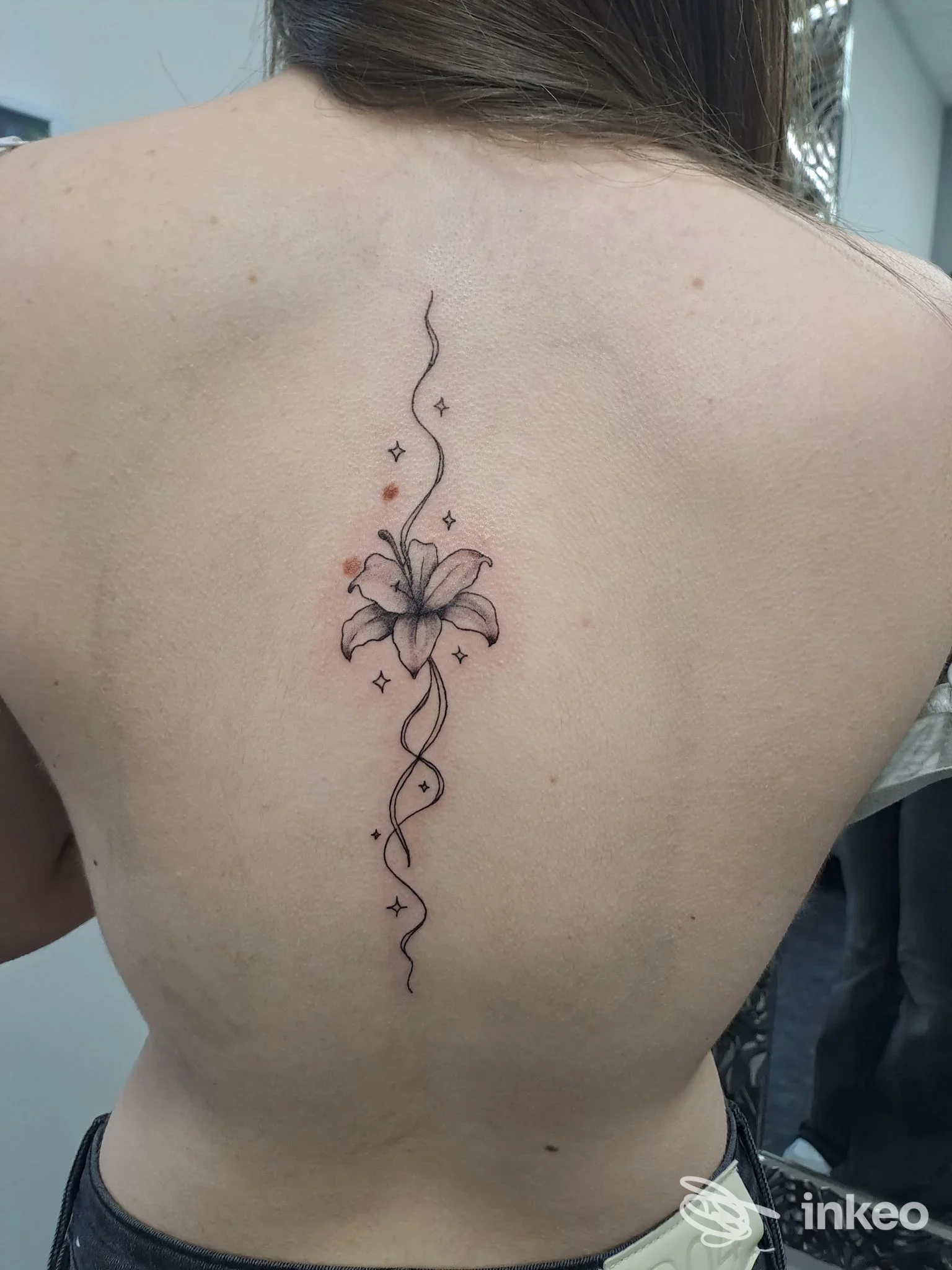 Tattoo sul dorso: linea sottile lungo la colonna vertebrale con un motivo floreale, rose o gigli, decorazioni a stelline, su pelle nuda, scatto unico dall’indietro; studio Fra ink.