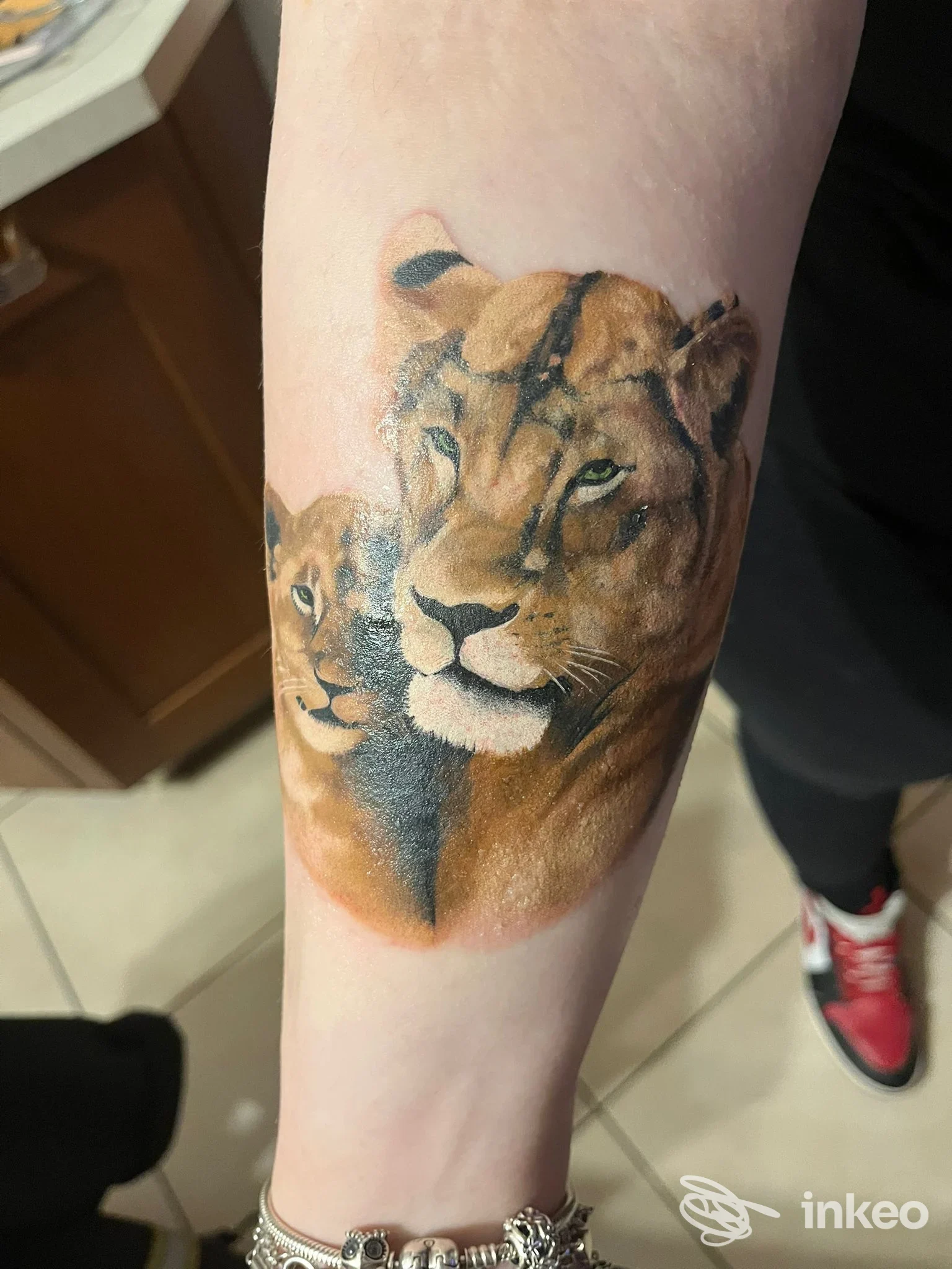 Tatuaggio realistico di una leonessa con cucciolo sull'avambraccio, Peto Tattoo, Sacile.