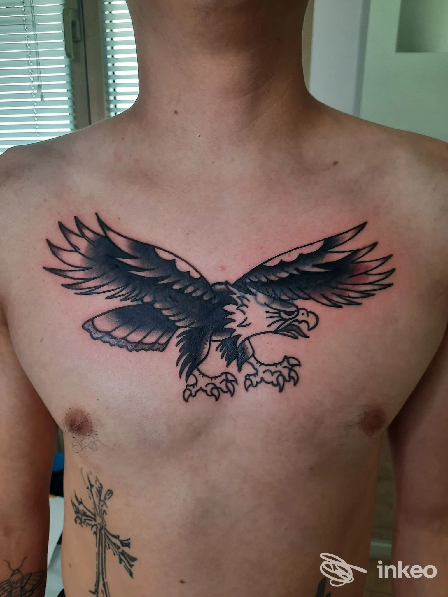Tatuaggio di un'aquila nera sul petto, fotografia del lavoro eseguito presso MaMu tattoo a Fiume Veneto.