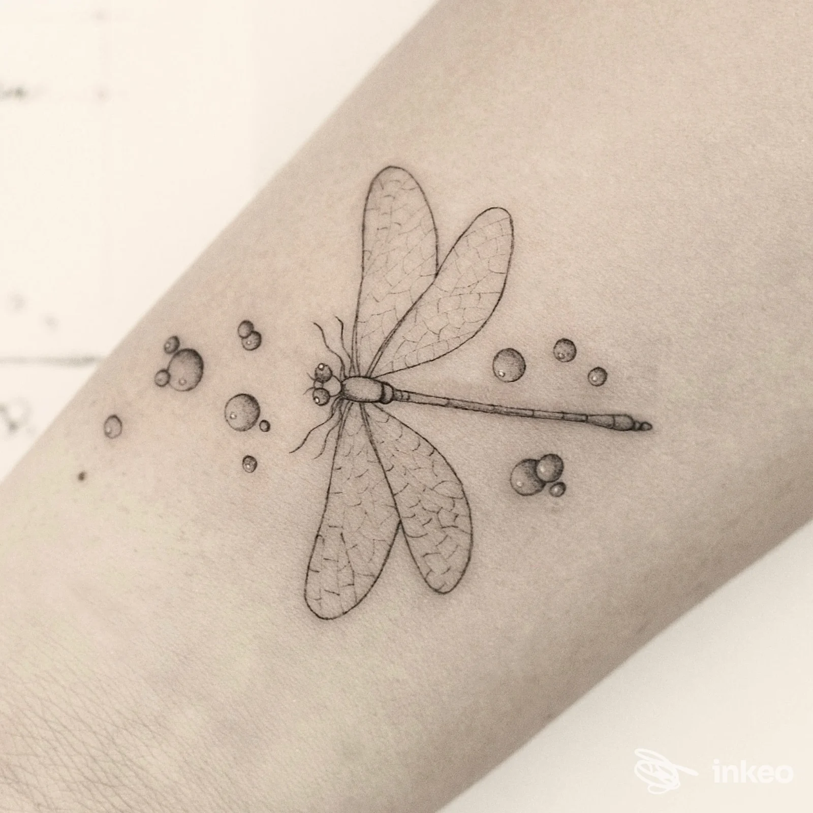 Tatuaggio fineline di una libellula sull'avambraccio, realizzato da Giovanna Bacchin a Udine.