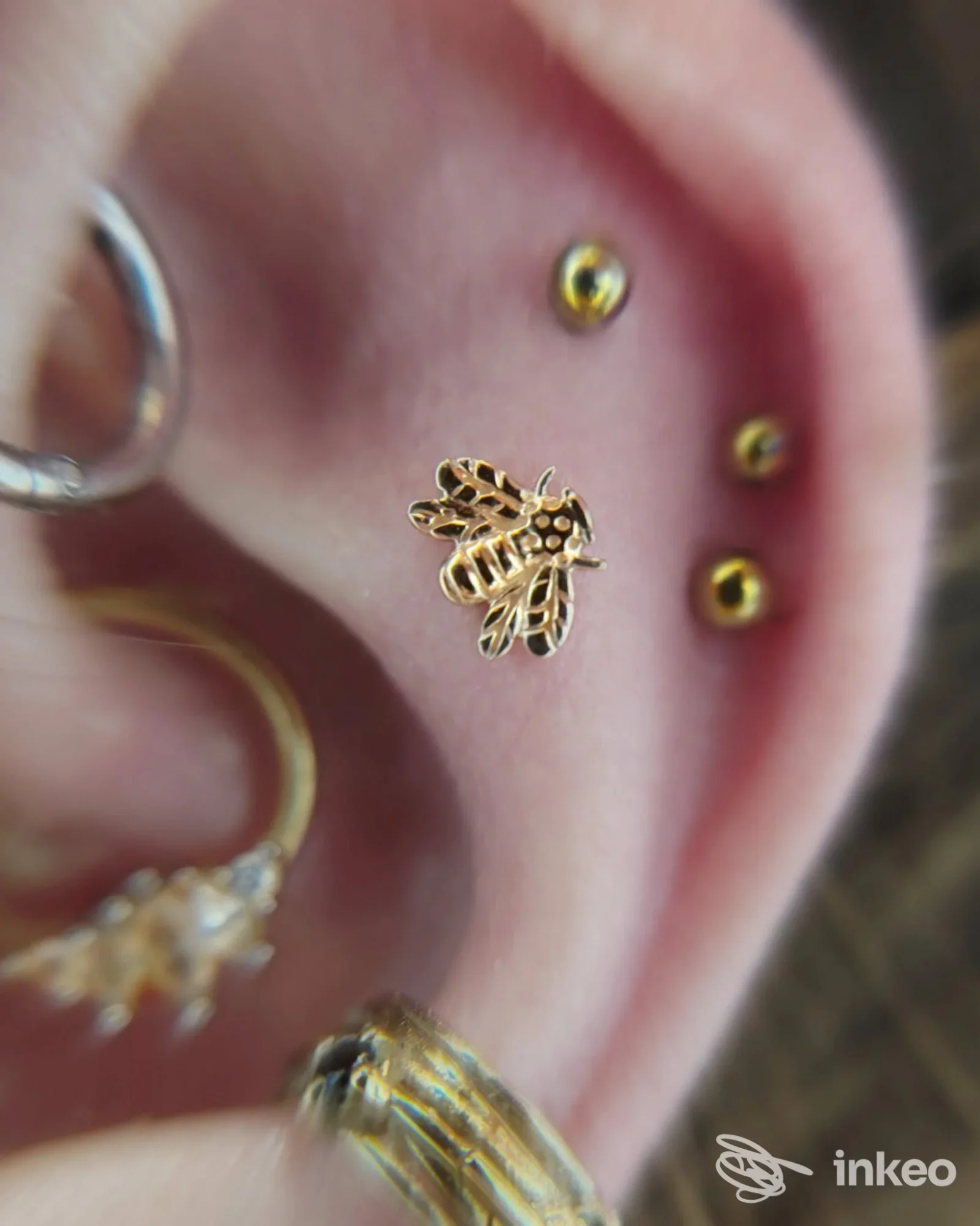 Primo piano di un orecchio con diversi piercing e un charm a forma d'ape, Body Factory, Trieste.