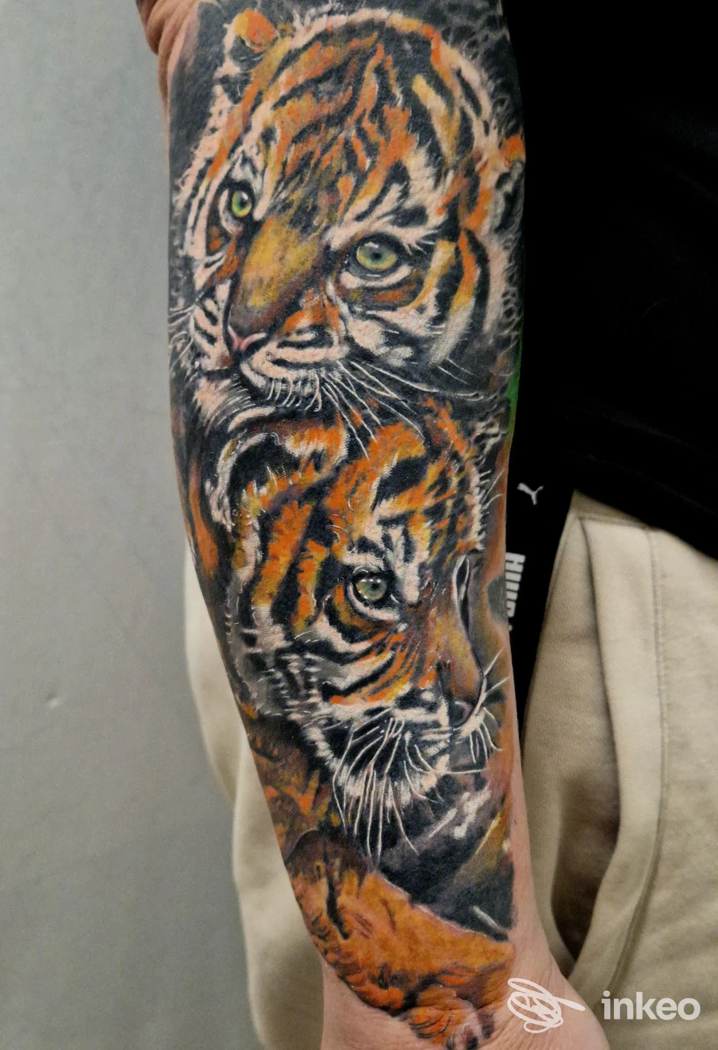 Tatuaggio realistico di due teste di tigre sull'avambraccio, foto proveniente dallo studio David Ferroni a Gorizia.
