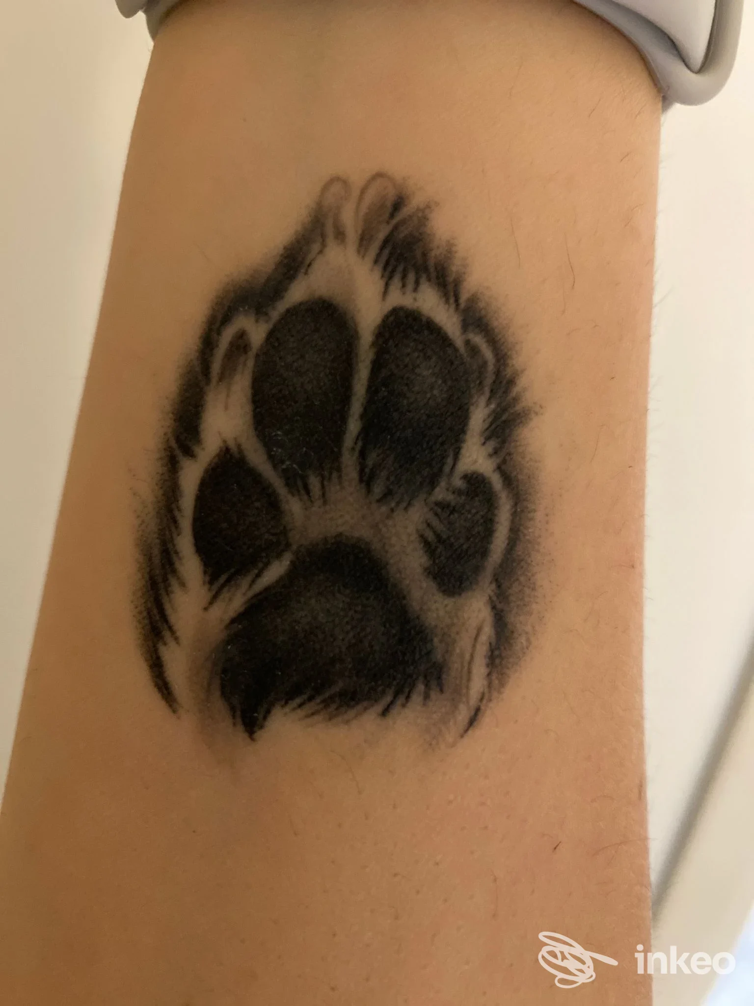 Primo piano di un tatuaggio a impronta di zampa nera sull'avambraccio interno, pelle naturale visibile. Foto per Black Swan Tattoo, Porcia.
