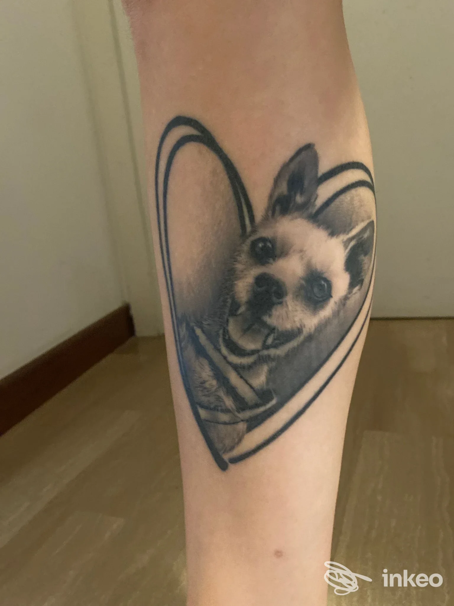 Tatuaggio ritratto realistico di un cane dentro un cuore sull'avambraccio, lavoro eseguito da Black Swan Tattoo a Porcia.