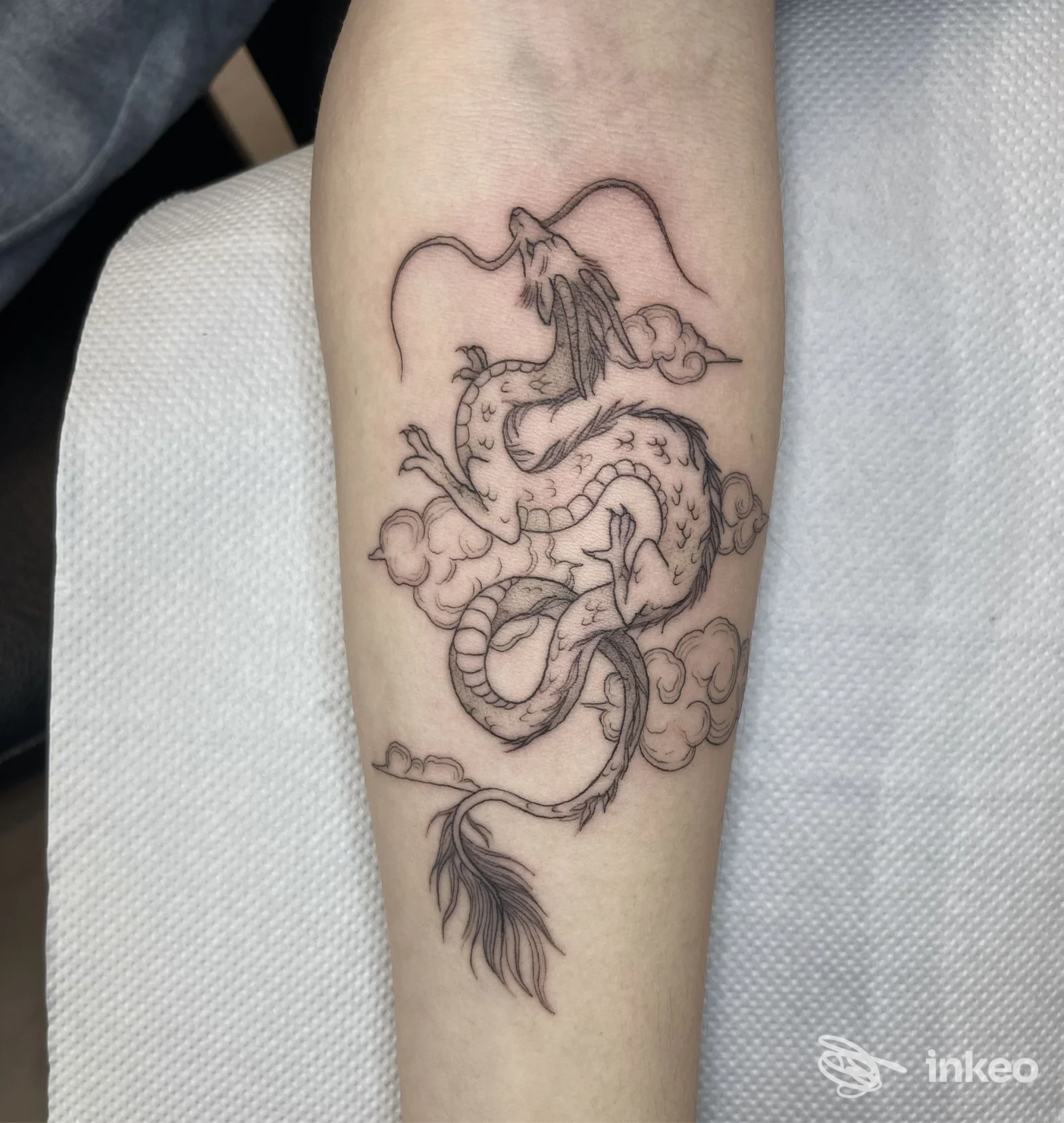 Tatuaggio linework di un drago avvolto tra nuvole sull'avambraccio, foto dello studio Ink Blooms Tattoo Studio a Udine.