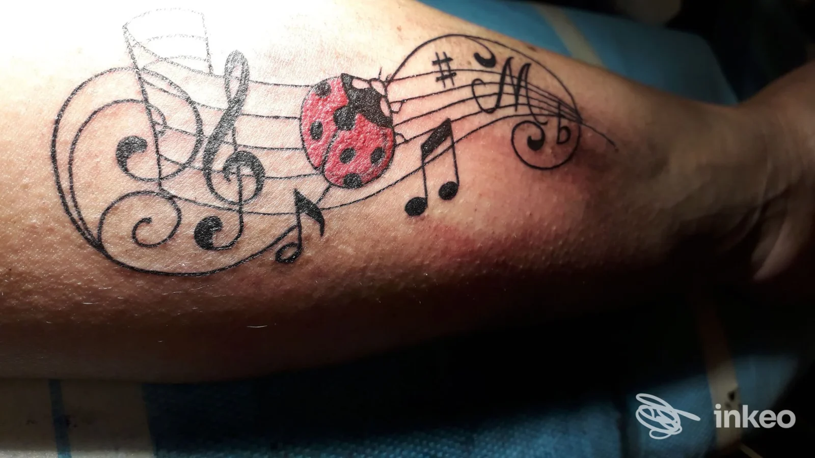 Tatuaggio su avambraccio con spartito musicale e una coccinella colorata, foto fornita da Good Karma Tattoo, Trieste.