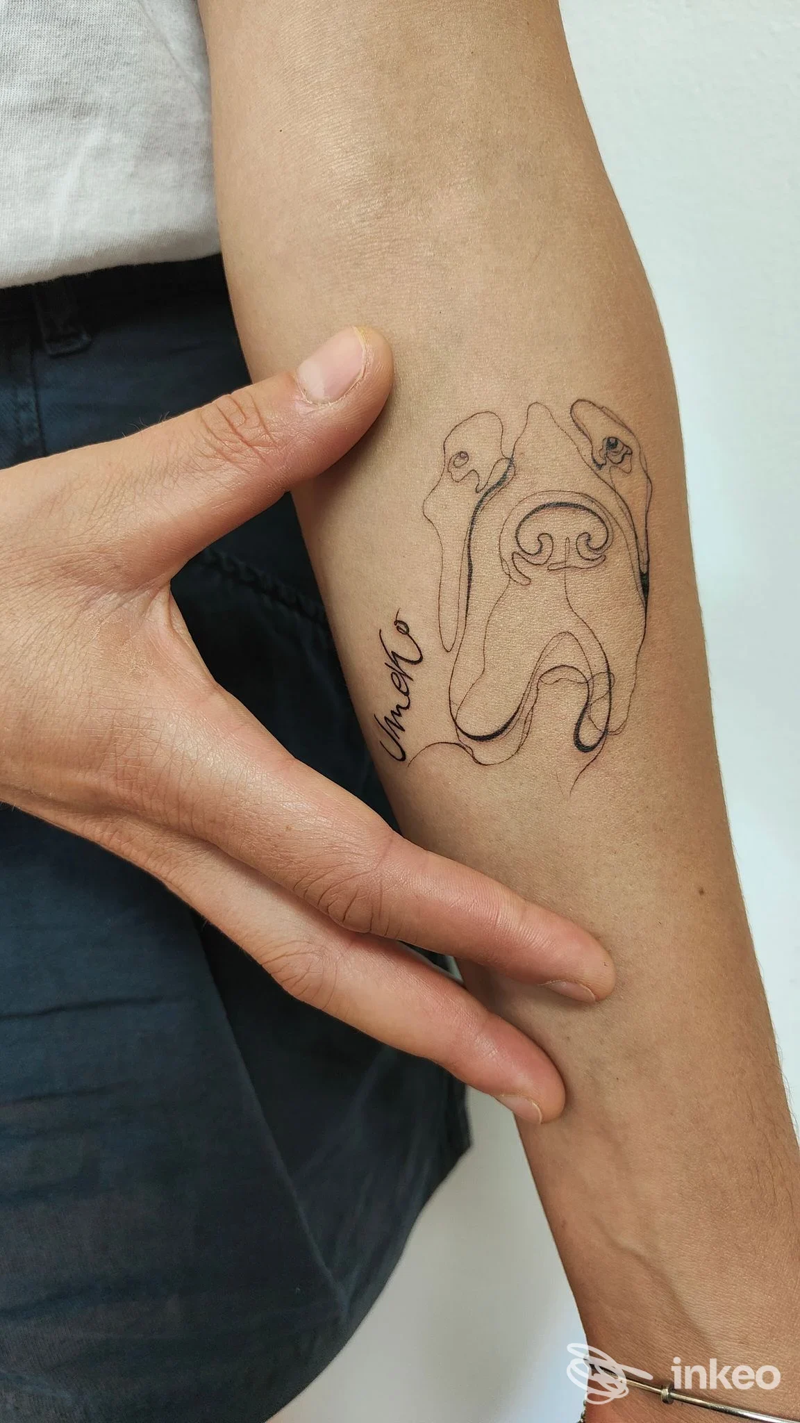 Tatuaggio linework di volto di cane con scritta sull'avambraccio, realizzato da The Contact a Codroipo.