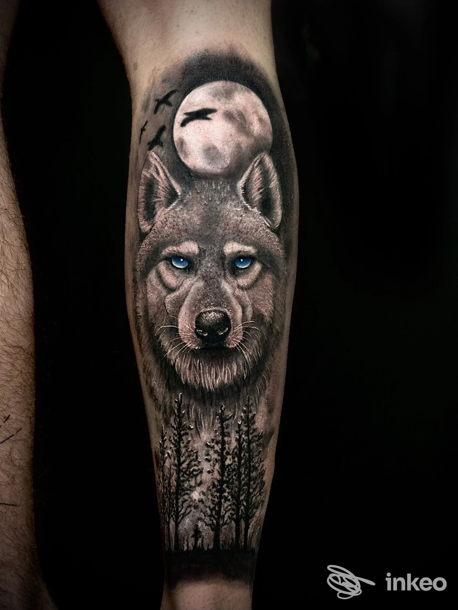 Tatuaggio realistico su avambraccio con testa di lupo, luna e alberi — Silver Angel Tattoo Studio, San Vito al Tagliamento.