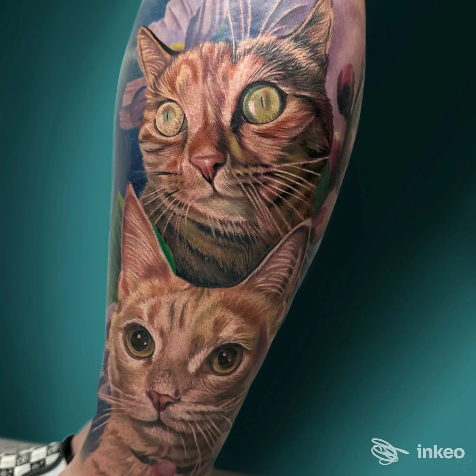 Tatuaggio fotorealistico di due gatti sull'avambraccio, dettagli minuti e colori saturi, opera di Castelli in aria, Gorizia.