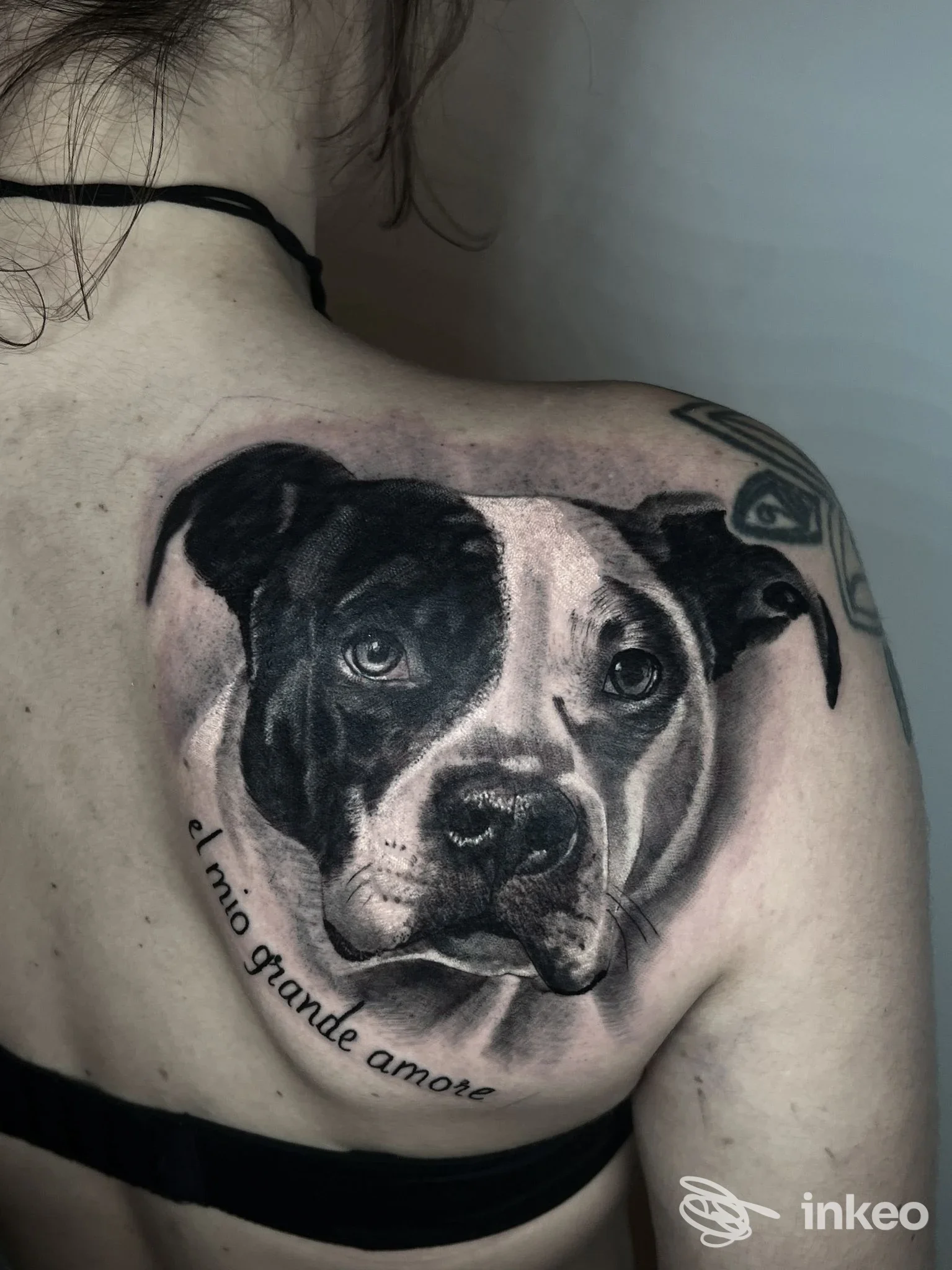 Grande tatuaggio realistico di un muso di cane sulla scapola sinistra, foto inviata da Pure Body Art, Trieste.