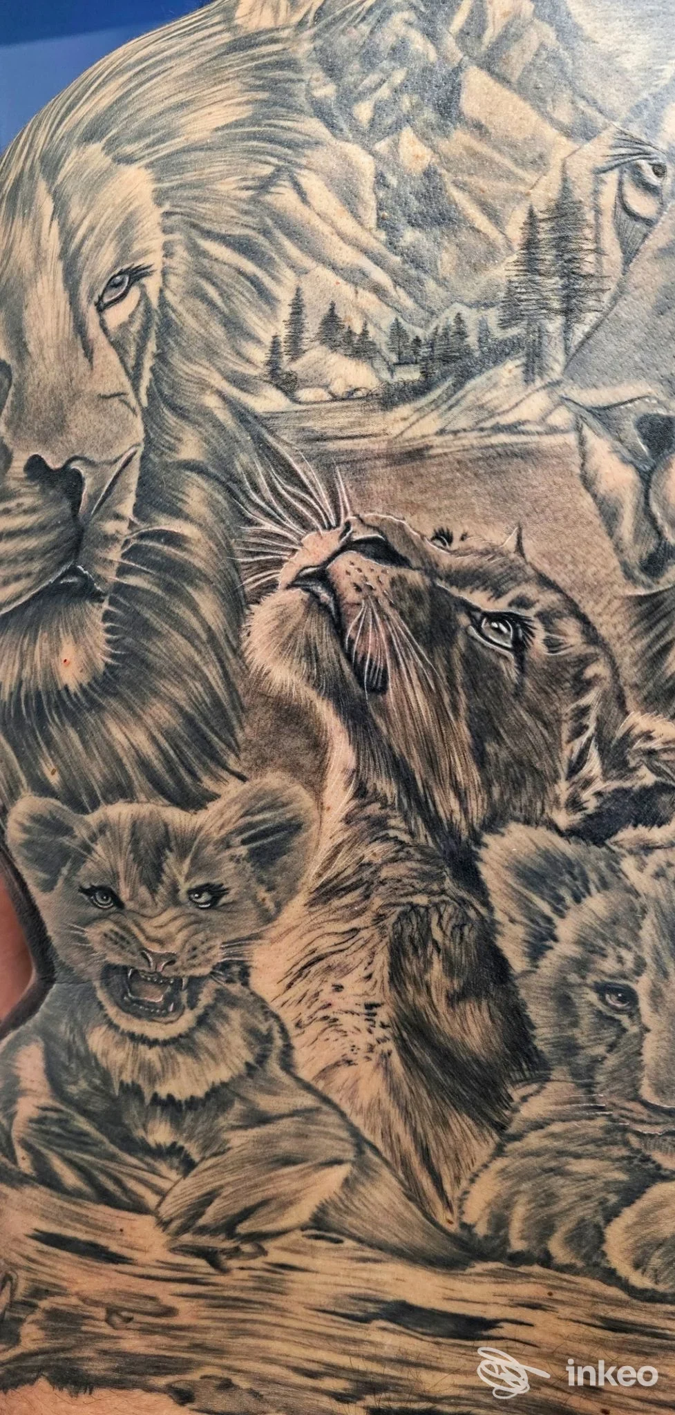 Ampio tatuaggio in bianco e nero con leoni e cuccioli sul dorso di una persona, realizzato da Solo Tattoo a Roma.