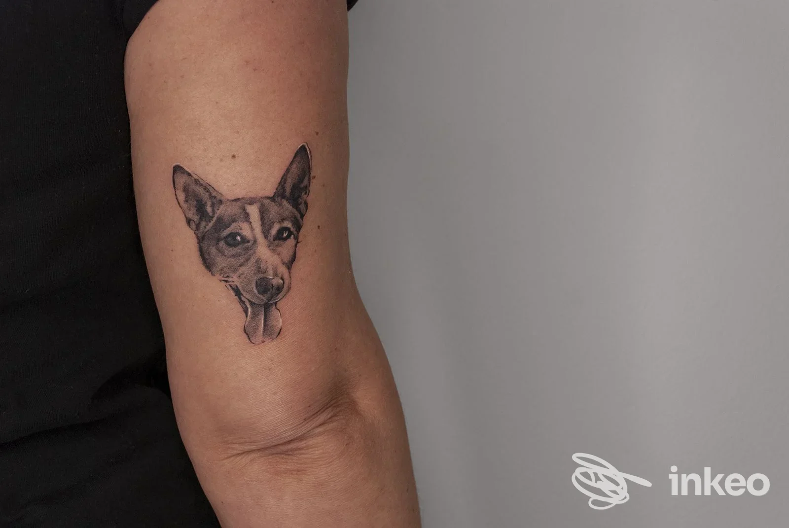 Tatuaggio realistico della testa di un cane sul braccio superiore di una persona, Angolo del cerchio - Fondi.