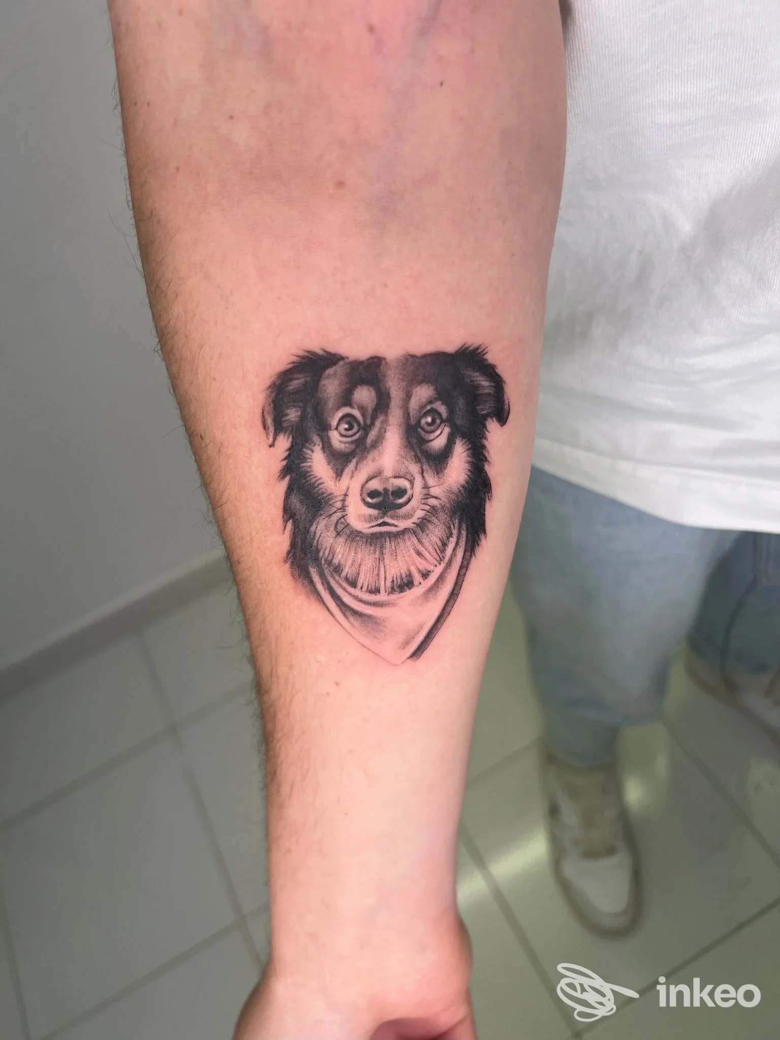 Tatuaggio ritratto di cane in bianco e nero sull'avambraccio, Angolo del cerchio - Private tattoo studio, Fondi.
