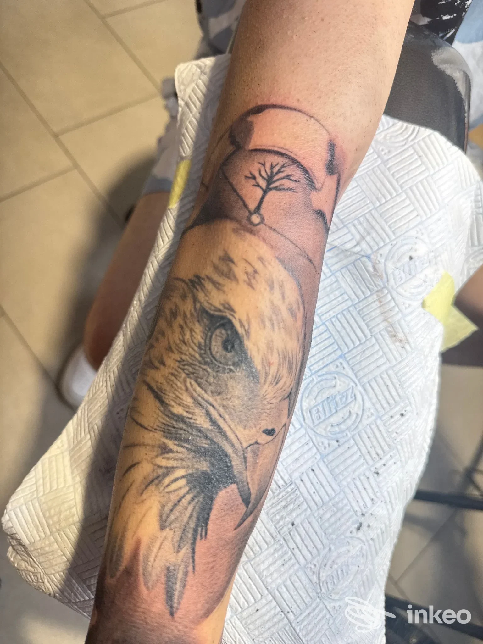 Avambraccio tatuato con testa d'aquila in stile realistico, BLOODBROTHERS TATTOO E PIERCING STUDIO, Aprilia.
