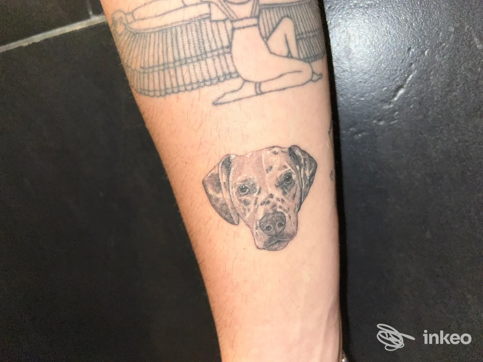 Avambraccio con tatuaggio della testa di un cane in bianco e nero, foto fornita da Basement Tattoo Studio, Roma.